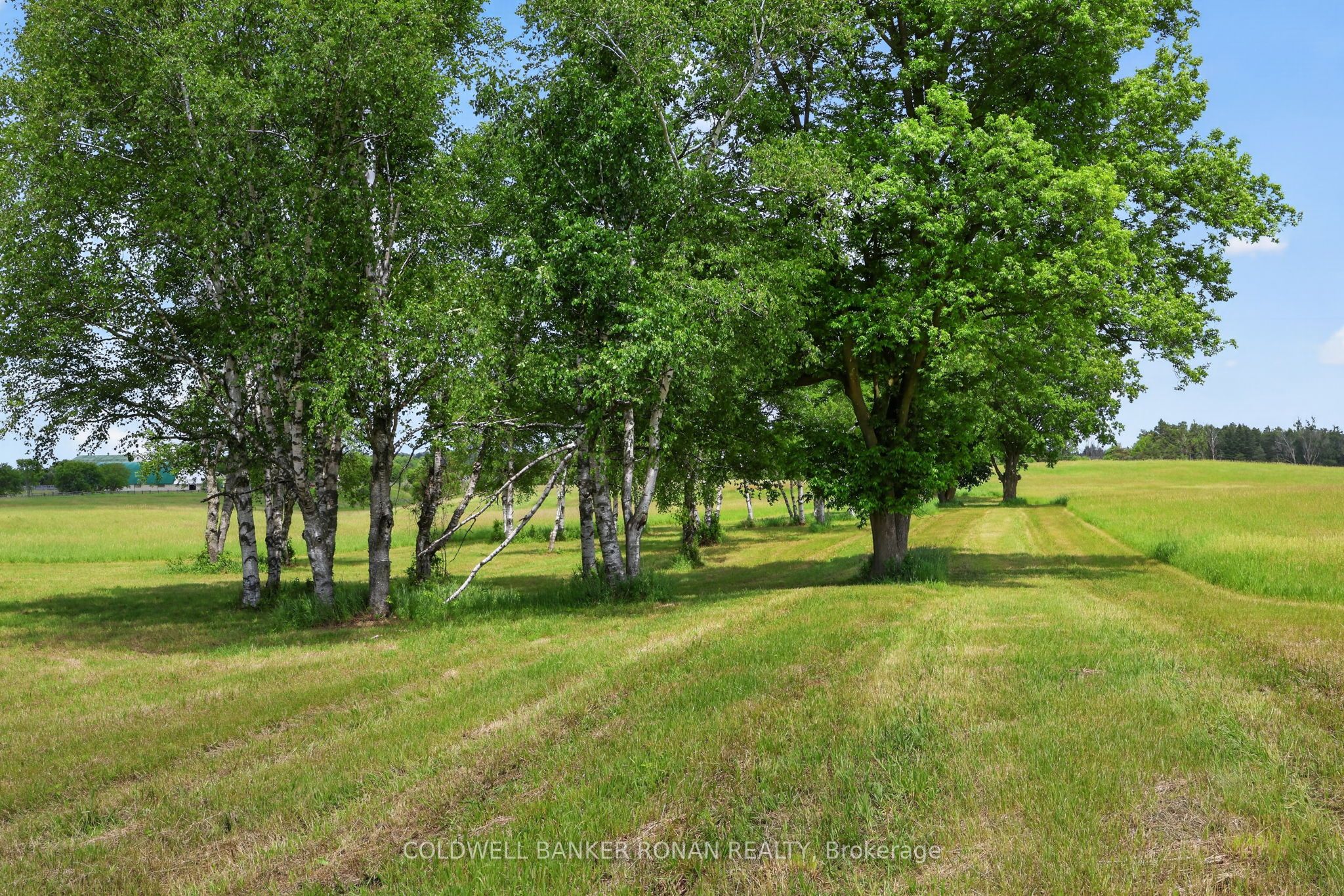 2362 Concession Rd 2 Property Photo 35