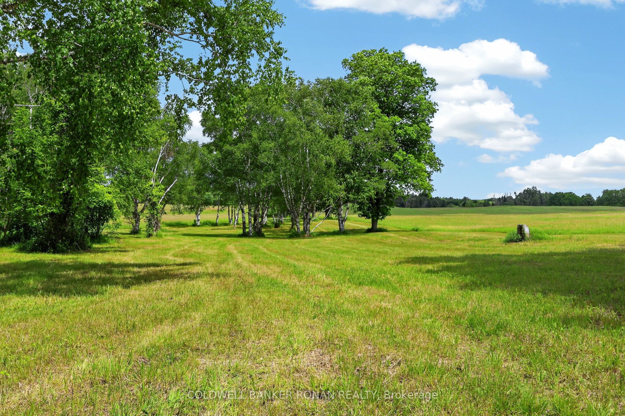 2362 Concession Rd 2 Property Photo 30