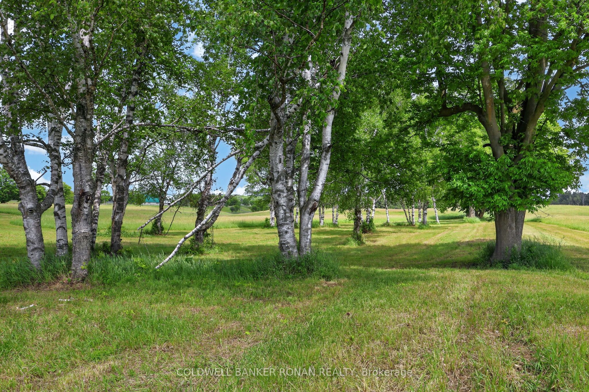 2362 Concession Rd 2 Property Photo 34