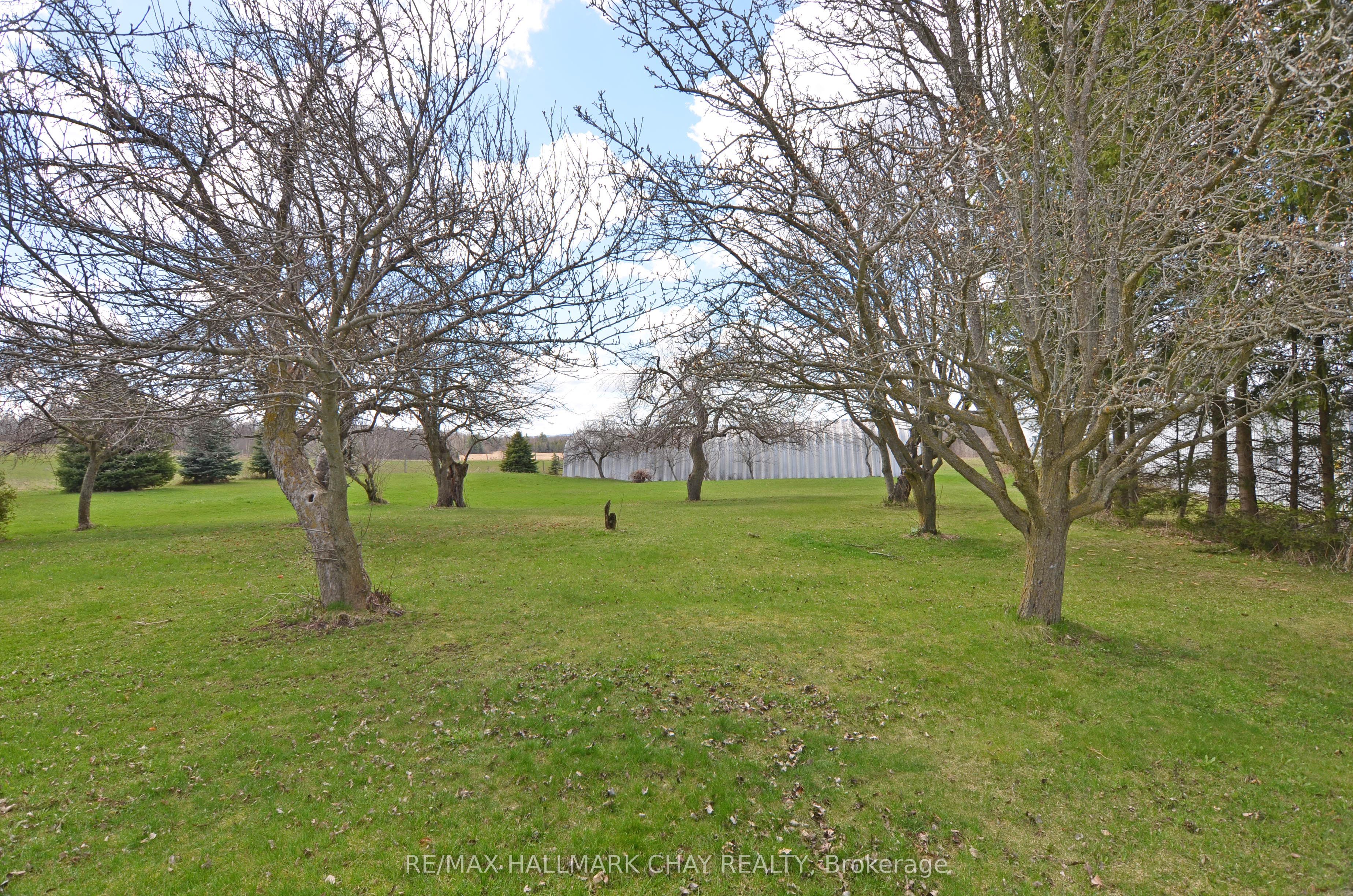 6280 County Rd 15 Property Photo 11