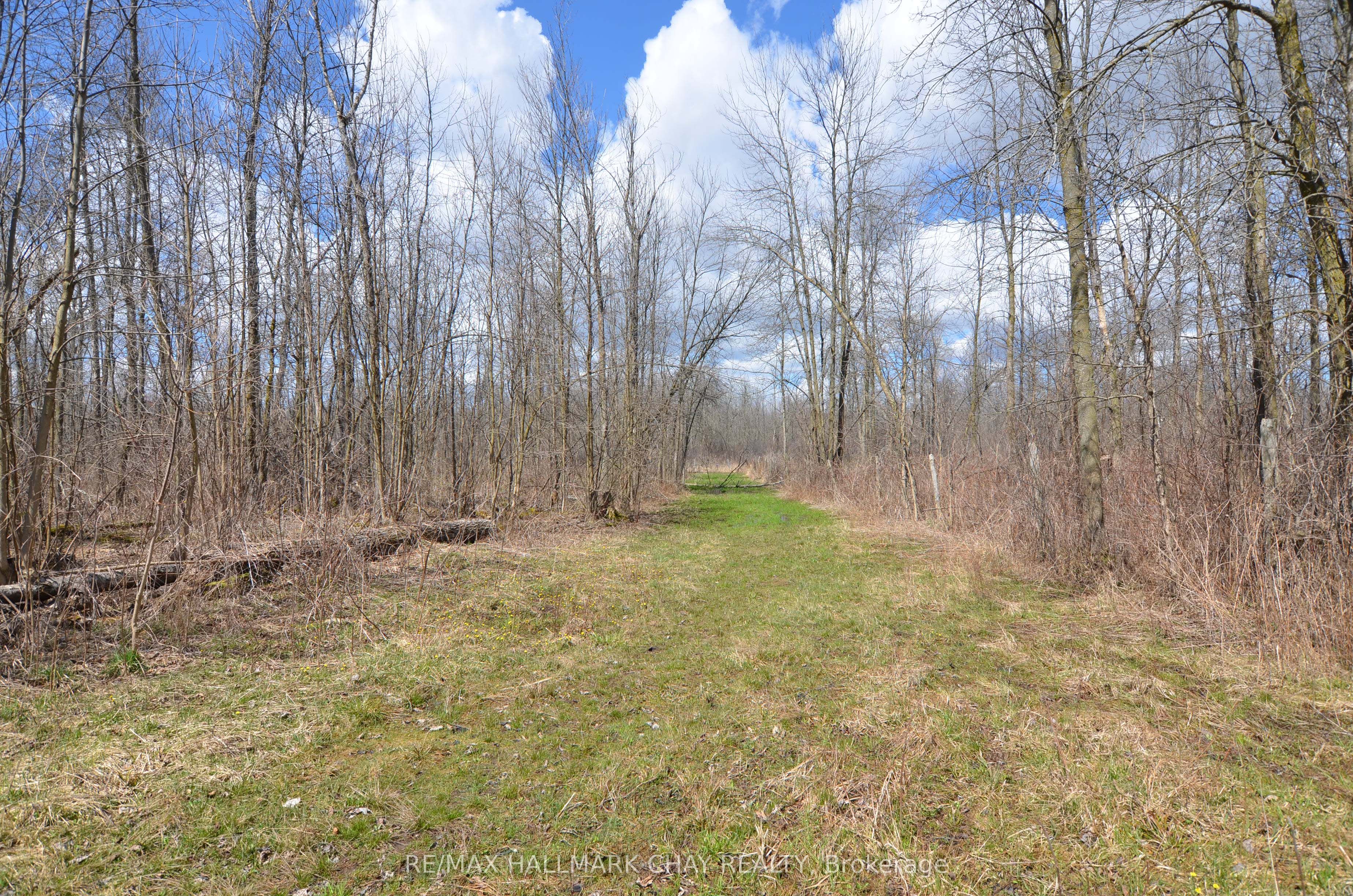 6280 County Rd 15 Property Photo 14