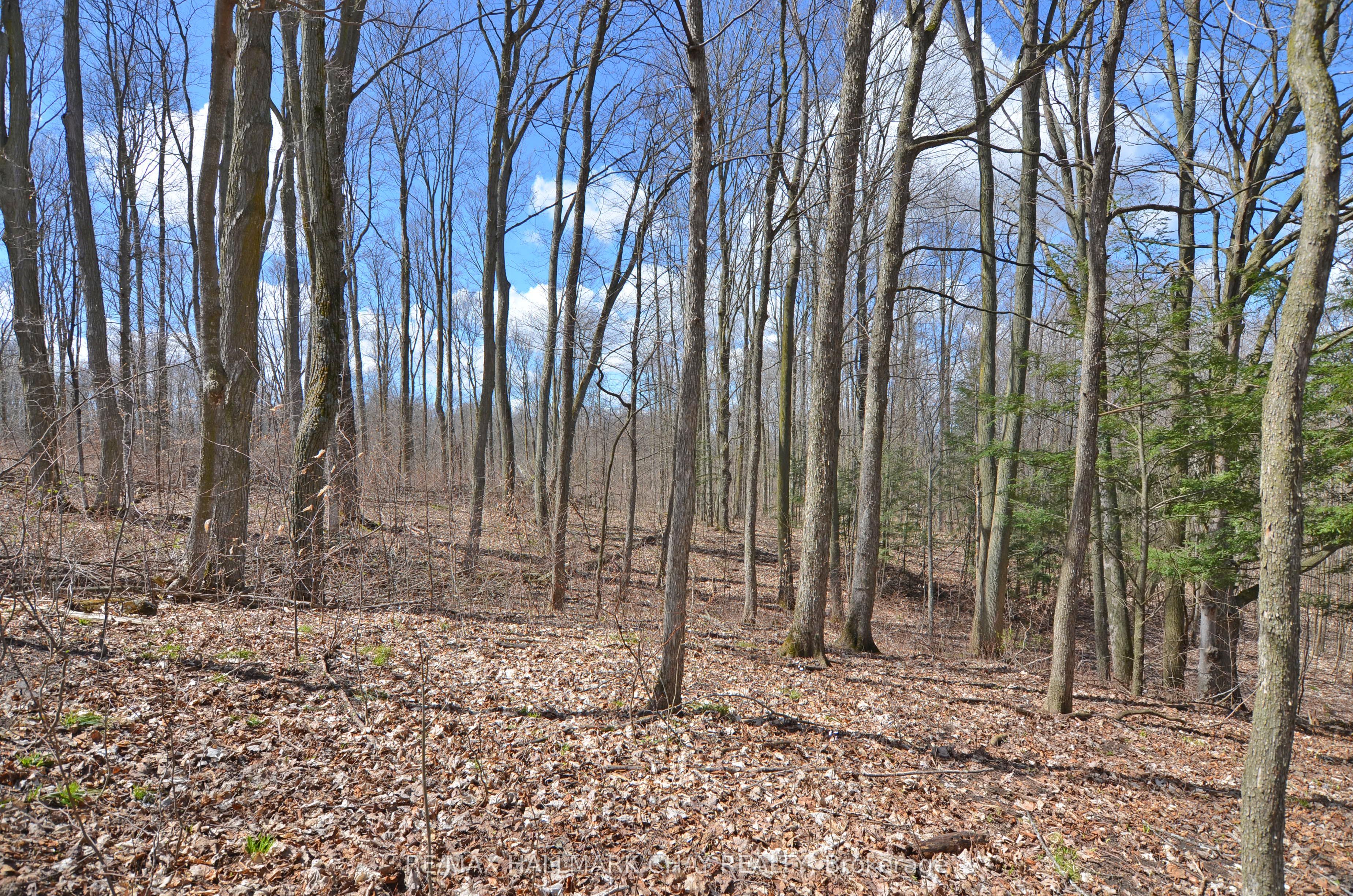 6280 County Rd 15 Property Photo 42