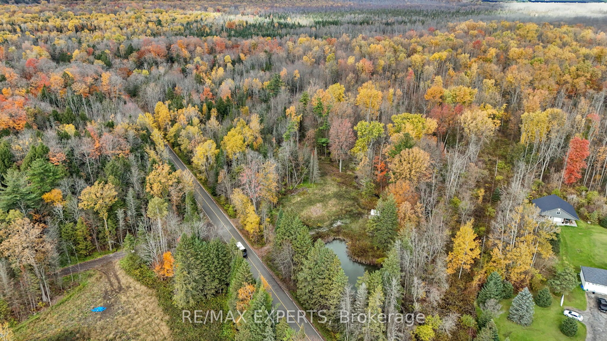4530 19th Side Road Property Photo 9