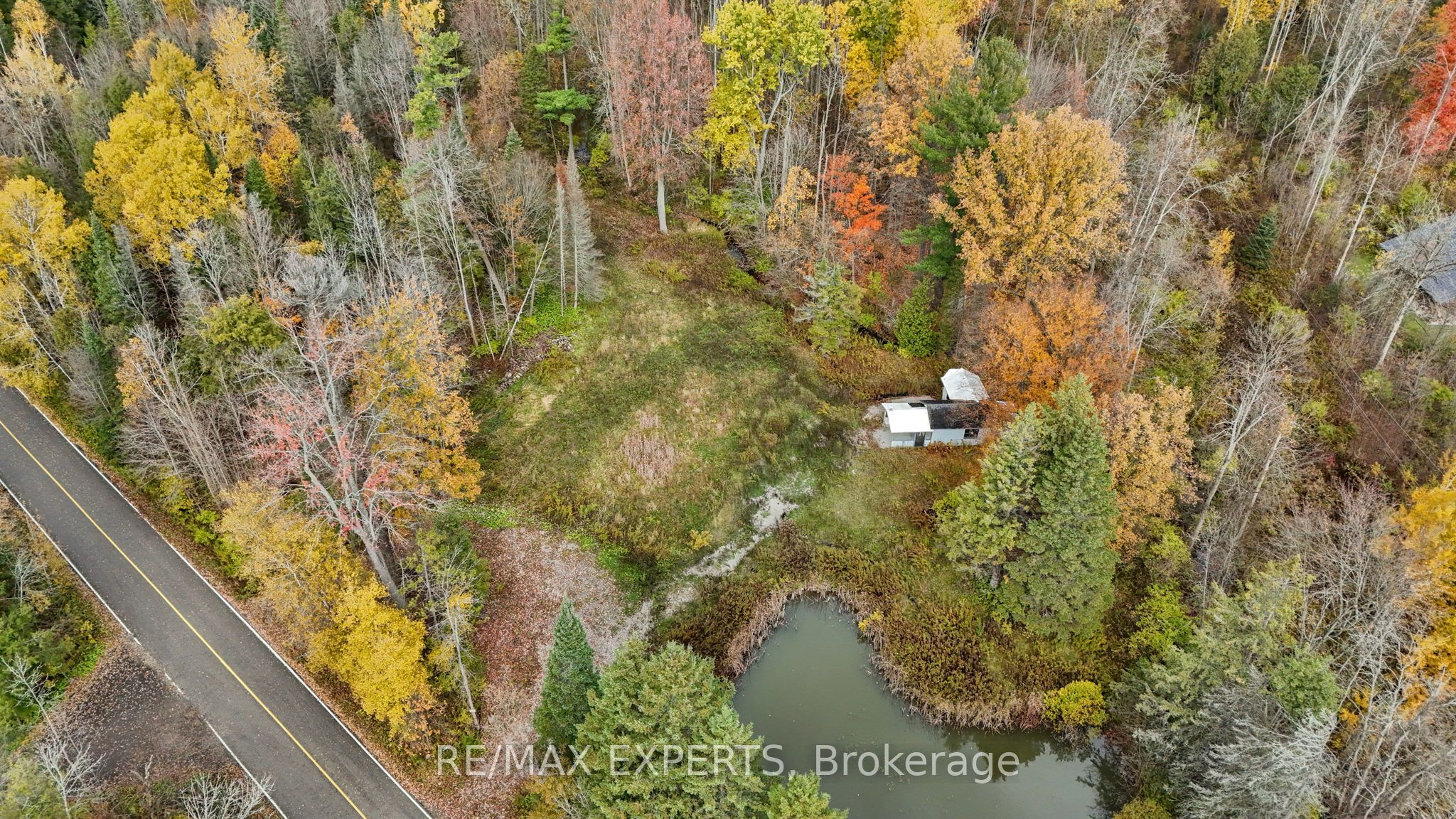 4530 19th Side Road Property Photo 11