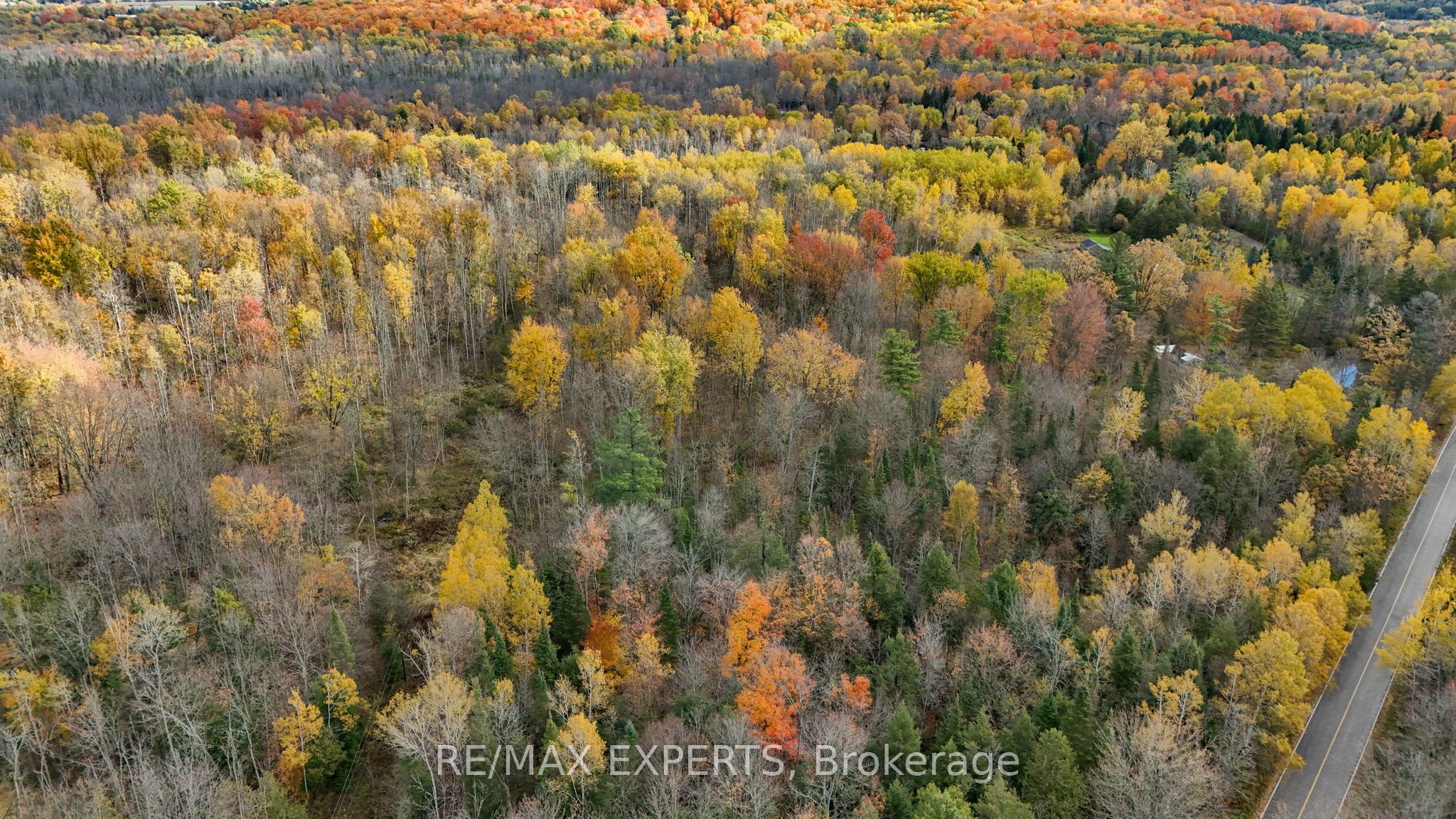 4530 19th Side Road Property Photo 12