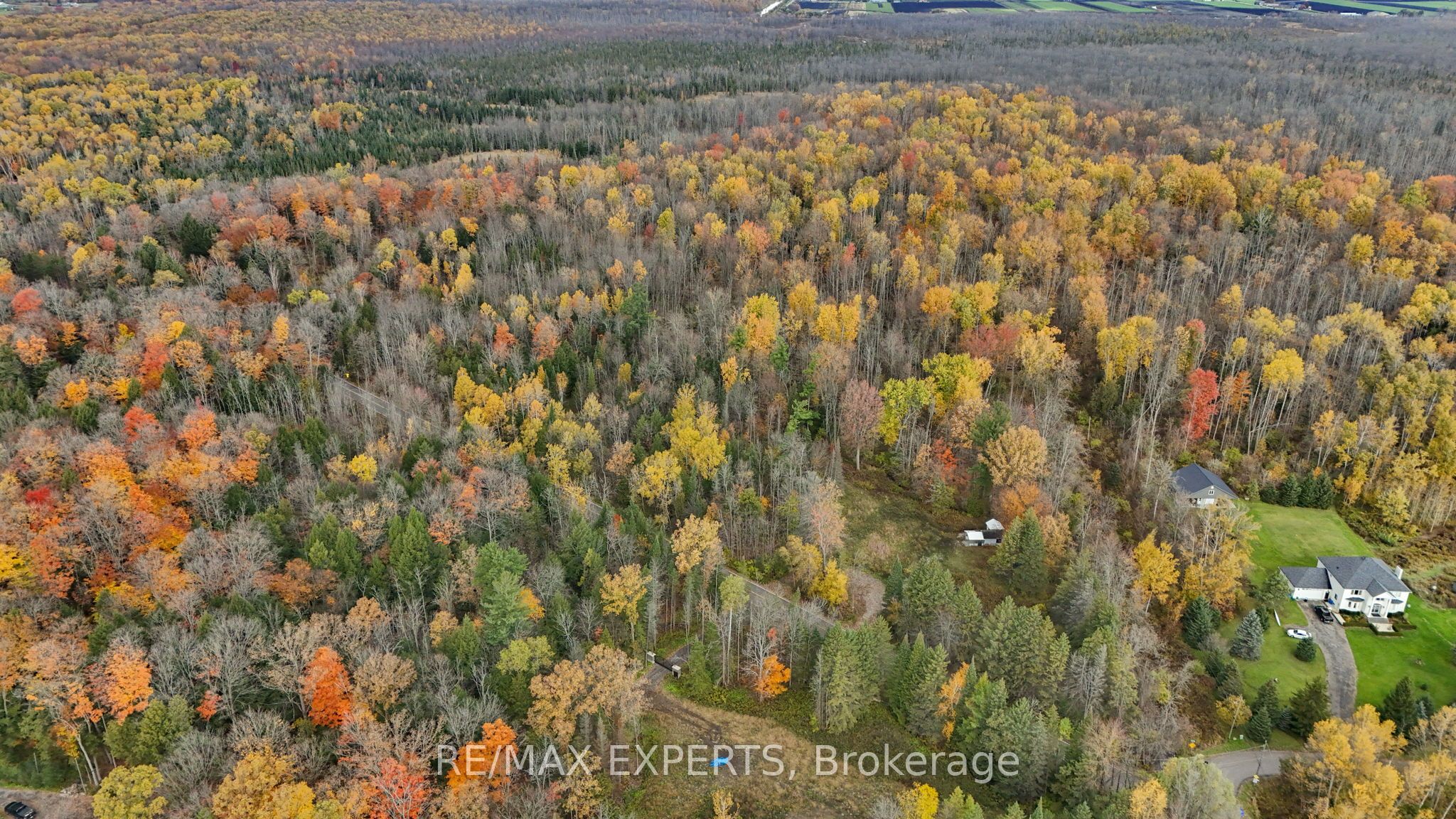 4530 19th Side Road Property Photo 14