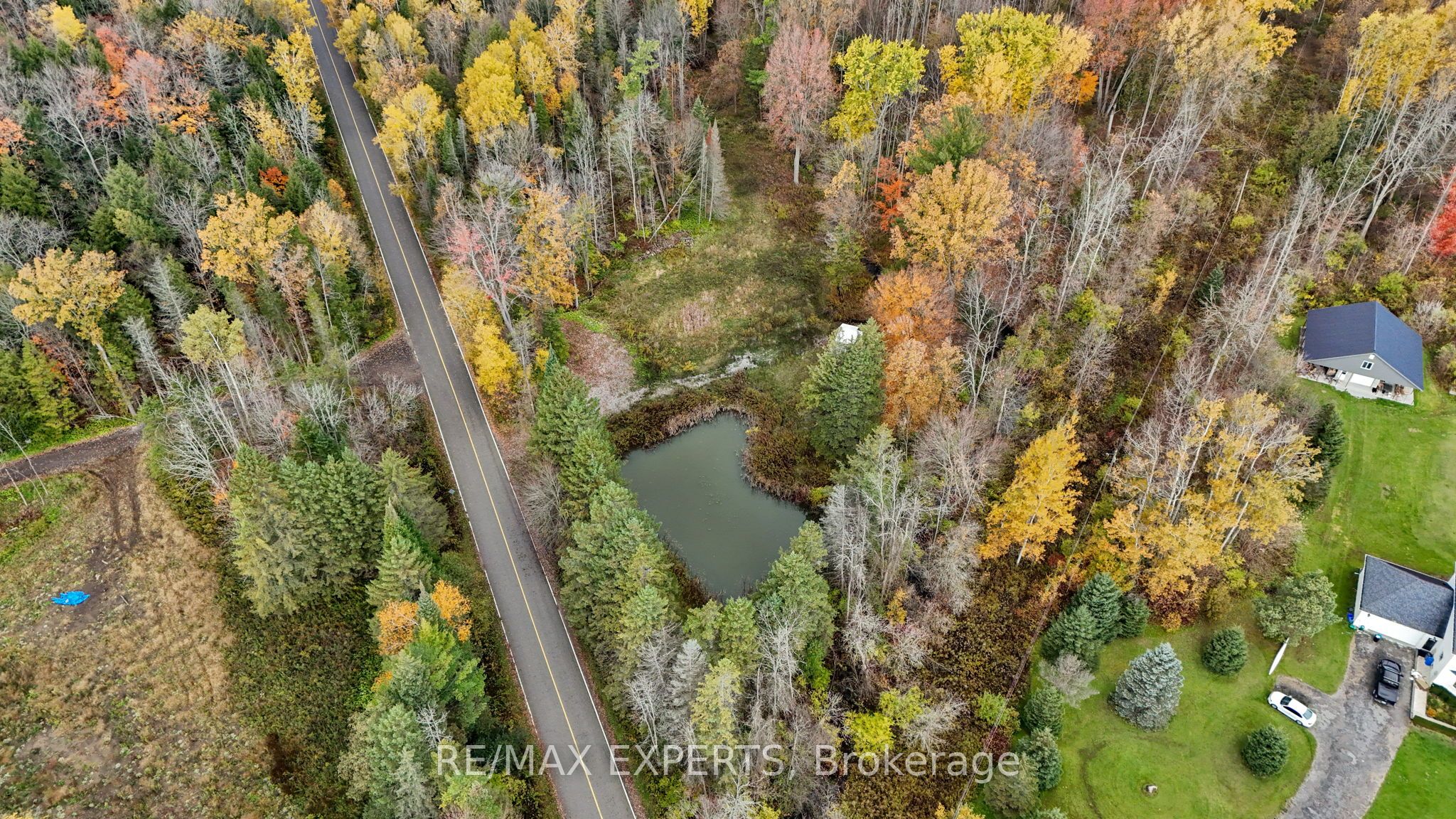 4530 19th Side Road Property Photo 15