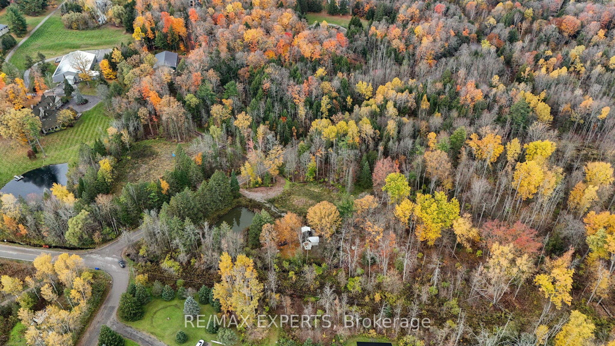 4530 19th Side Road Property Photo 16