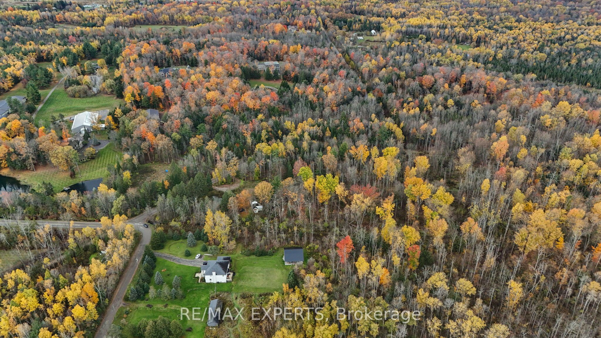 4530 19th Side Road Property Photo 17