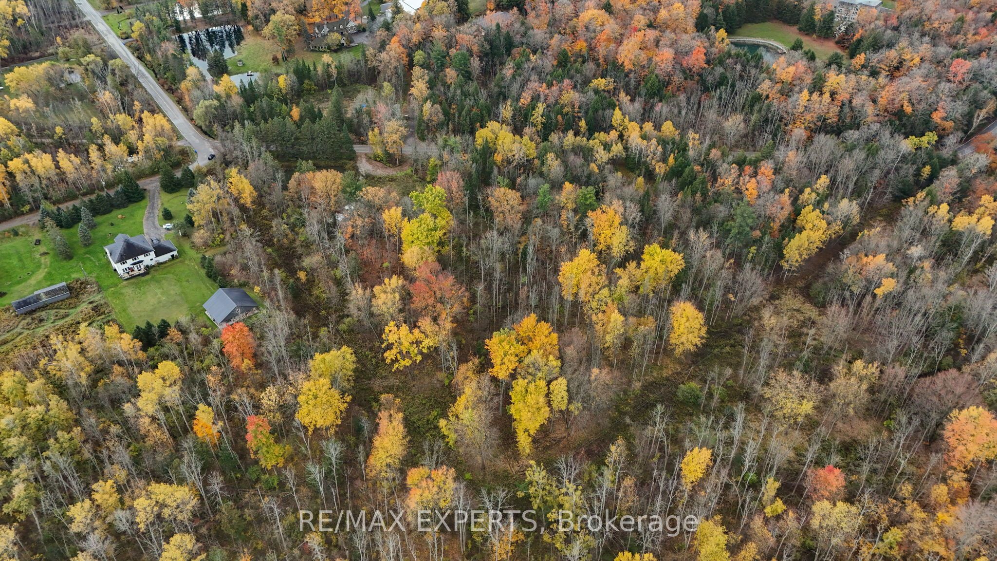 4530 19th Side Road Property Photo 19