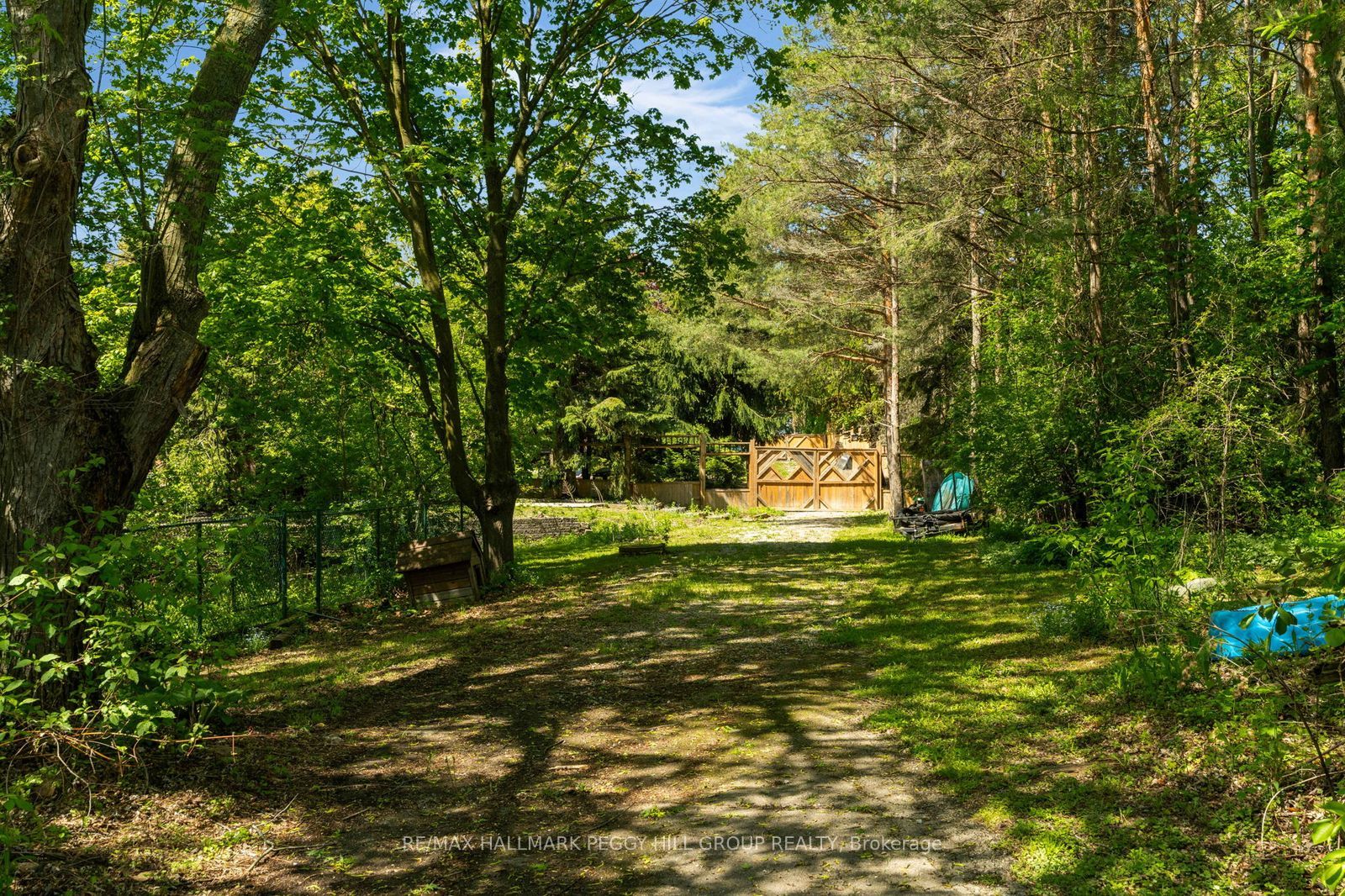 2145 18th Side Road Property Photo 3