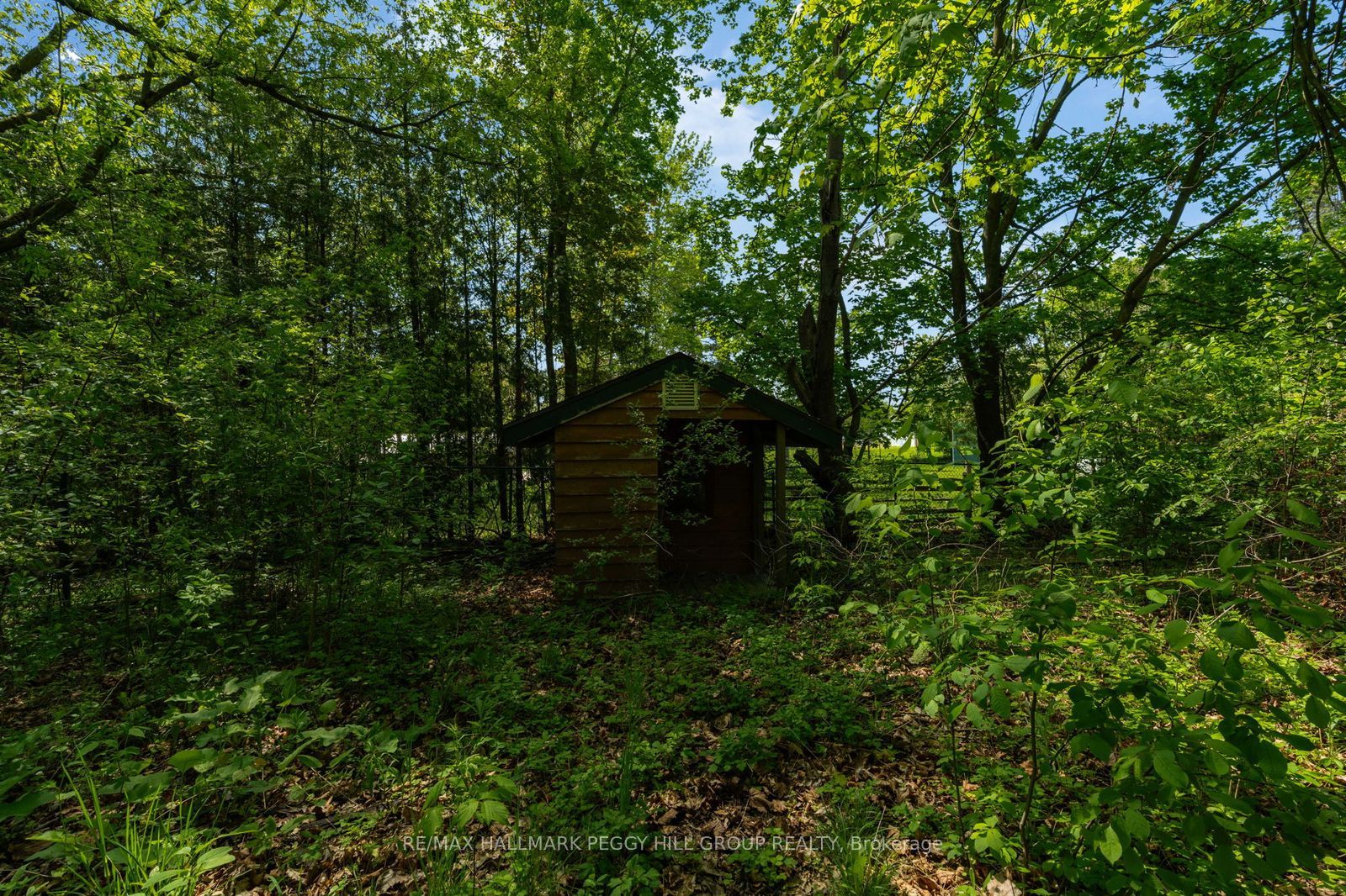 2145 18th Side Road Property Photo 18