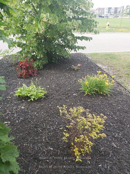 25 Sibella Way Property Photo 20