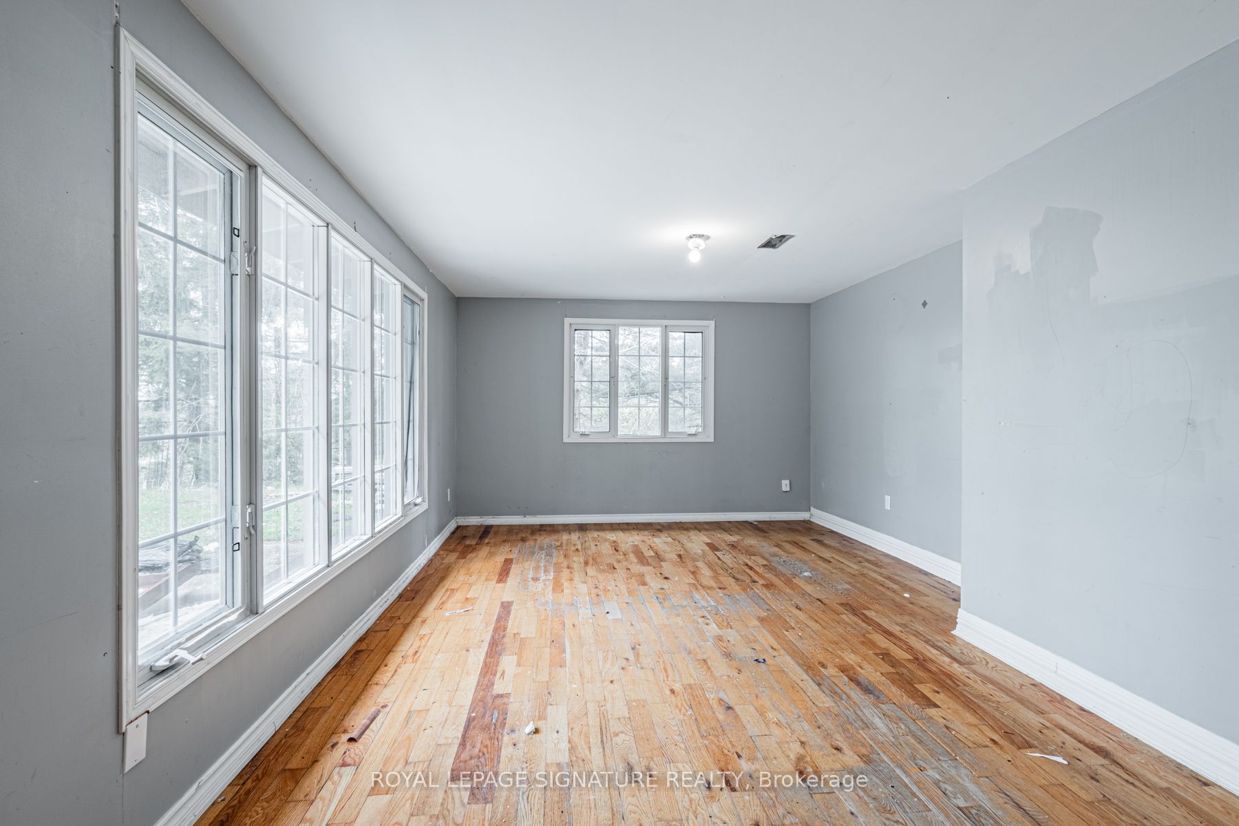 50 Collard Drive Property Photo 25