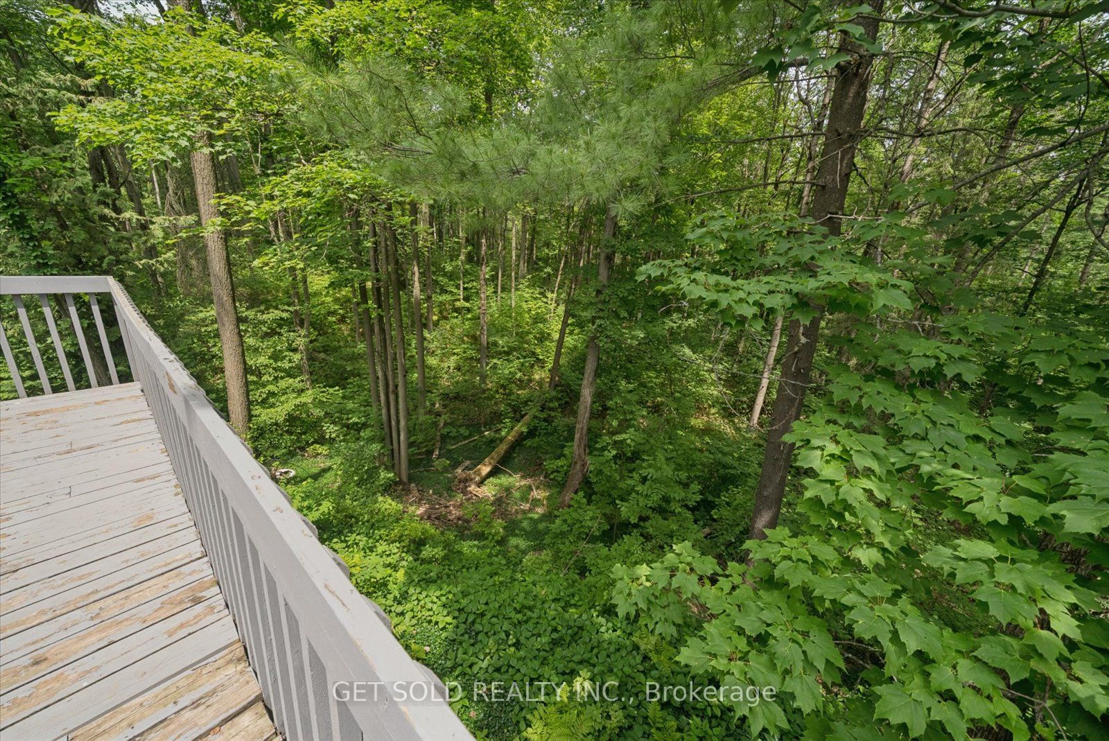 80 White Pine Trail Property Photo 11