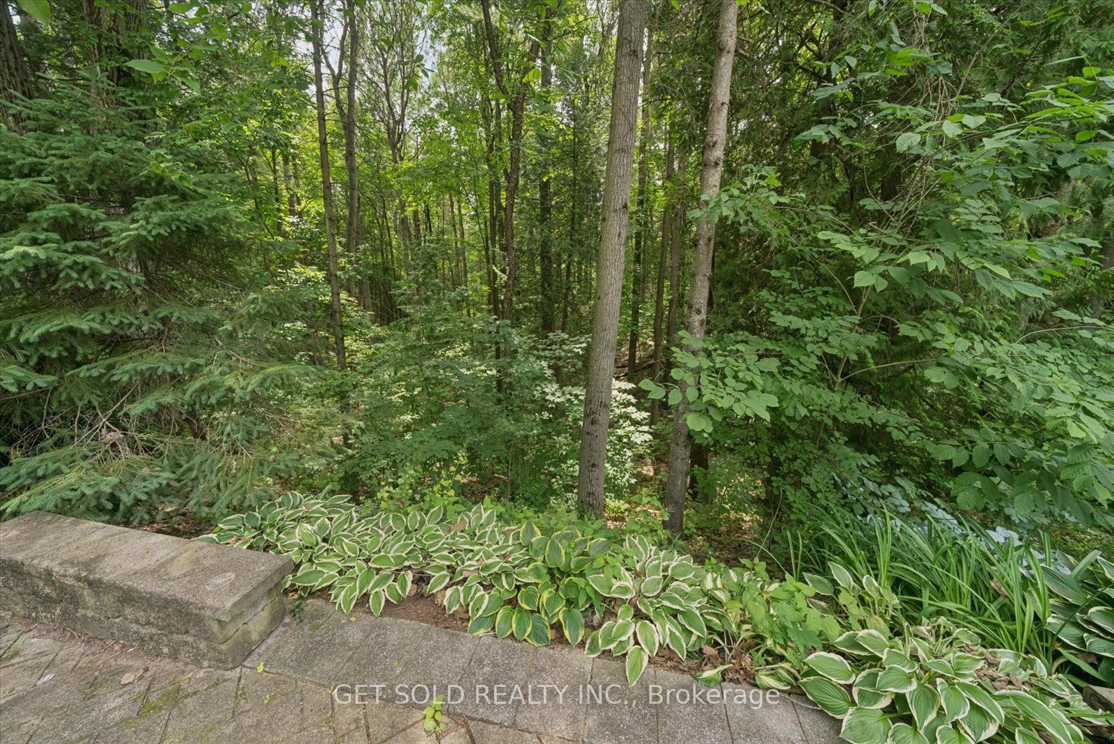 80 White Pine Trail Property Photo 14