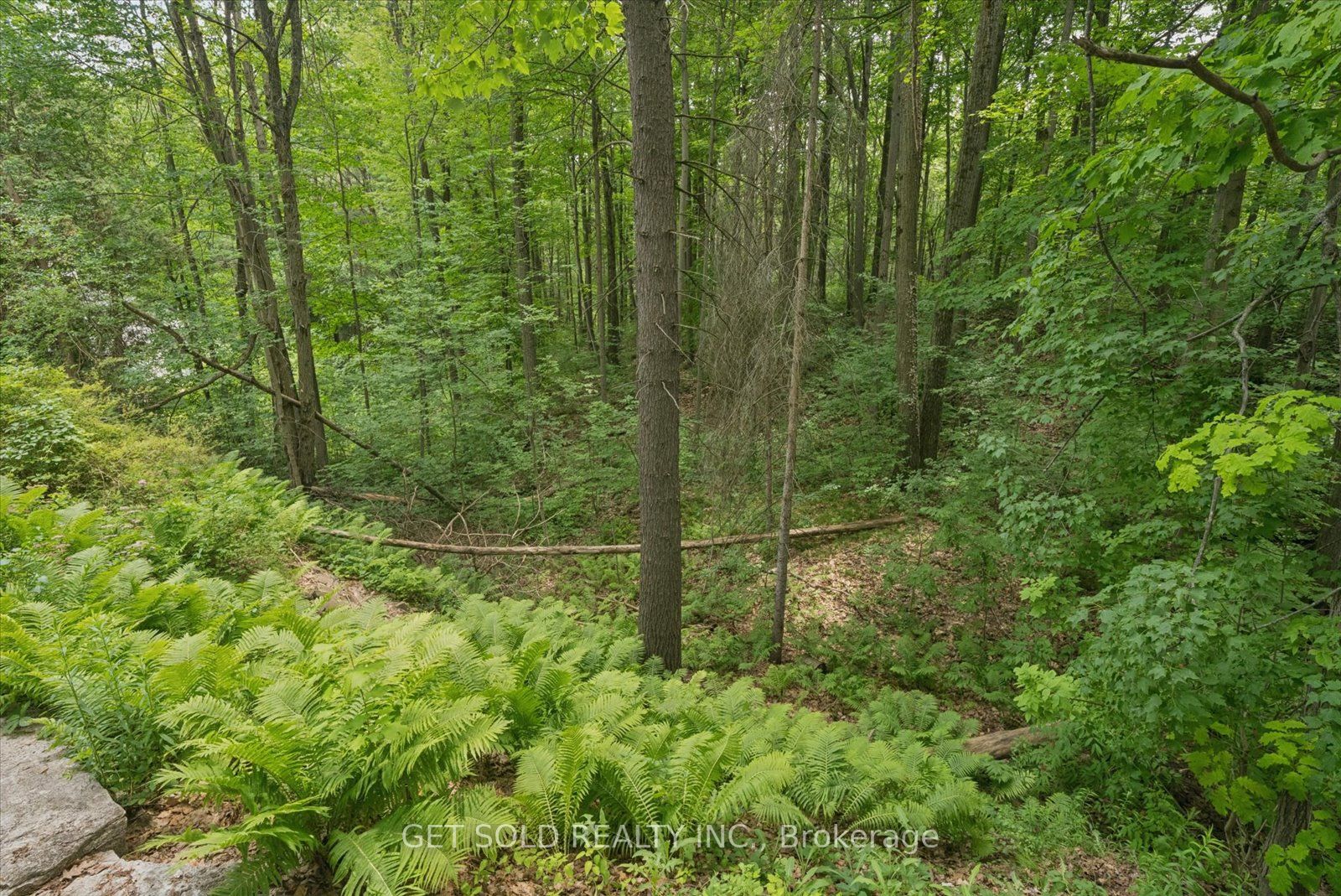 80 White Pine Trail Property Photo 16