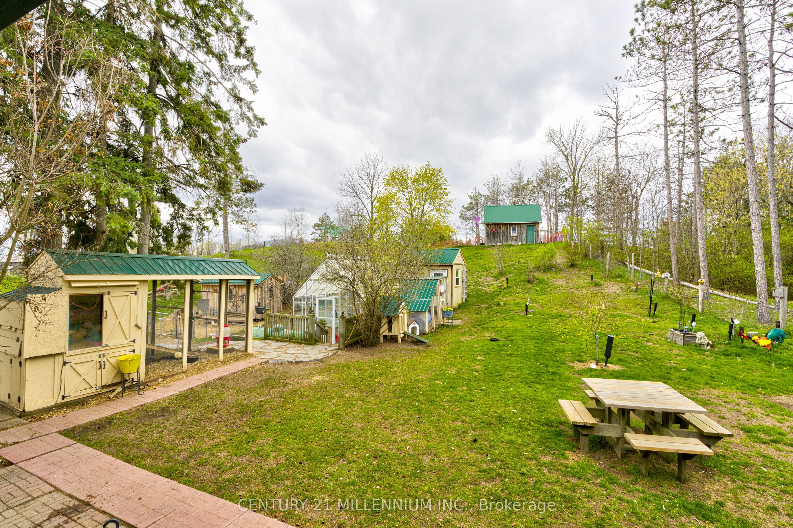 6046 3rd Line Property Photo 31