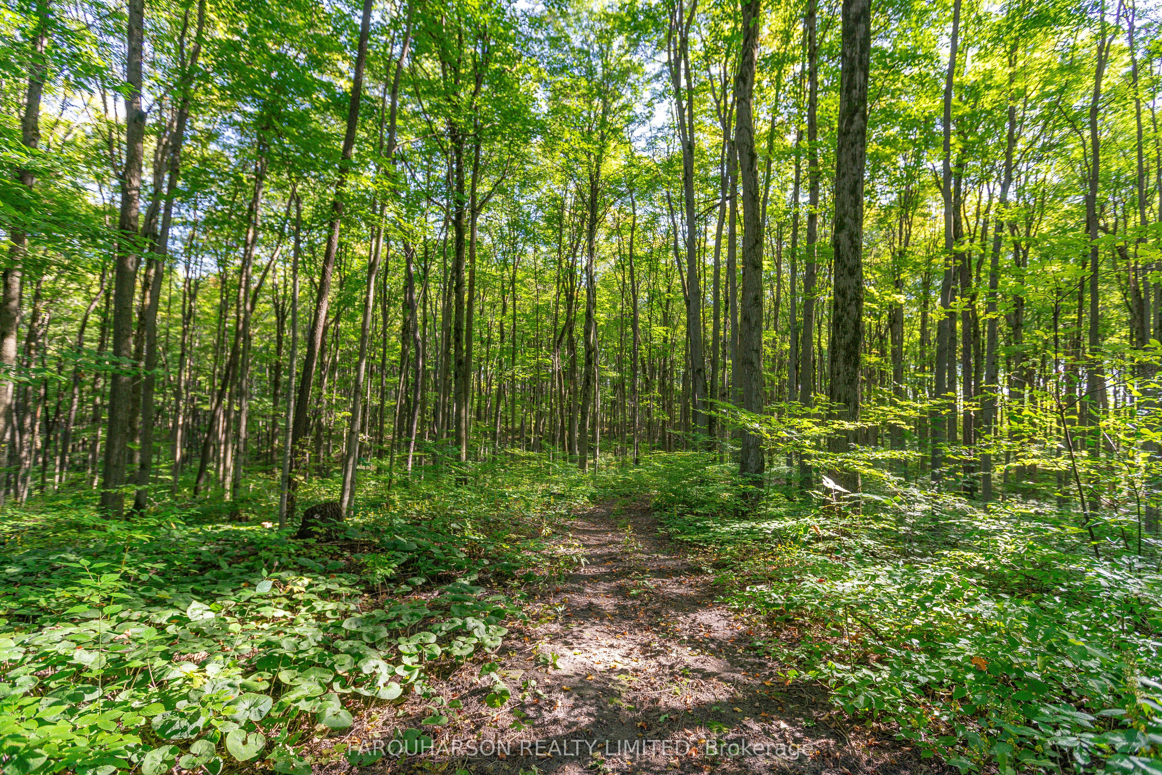 159 Highway 47 Highway Property Photo 16