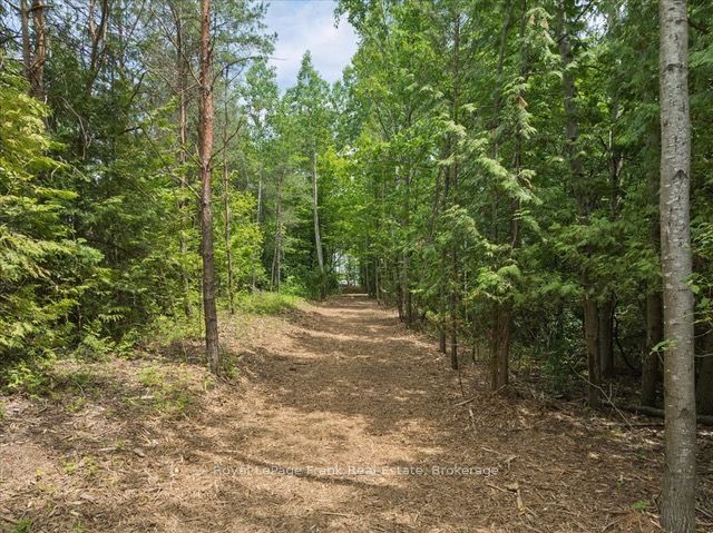 838 Brookdale Road Property Photo 1