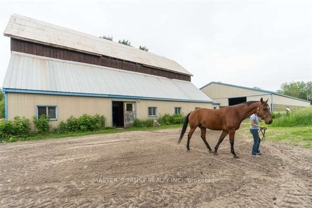 3563 Vandorf Side Road Property Photo 5