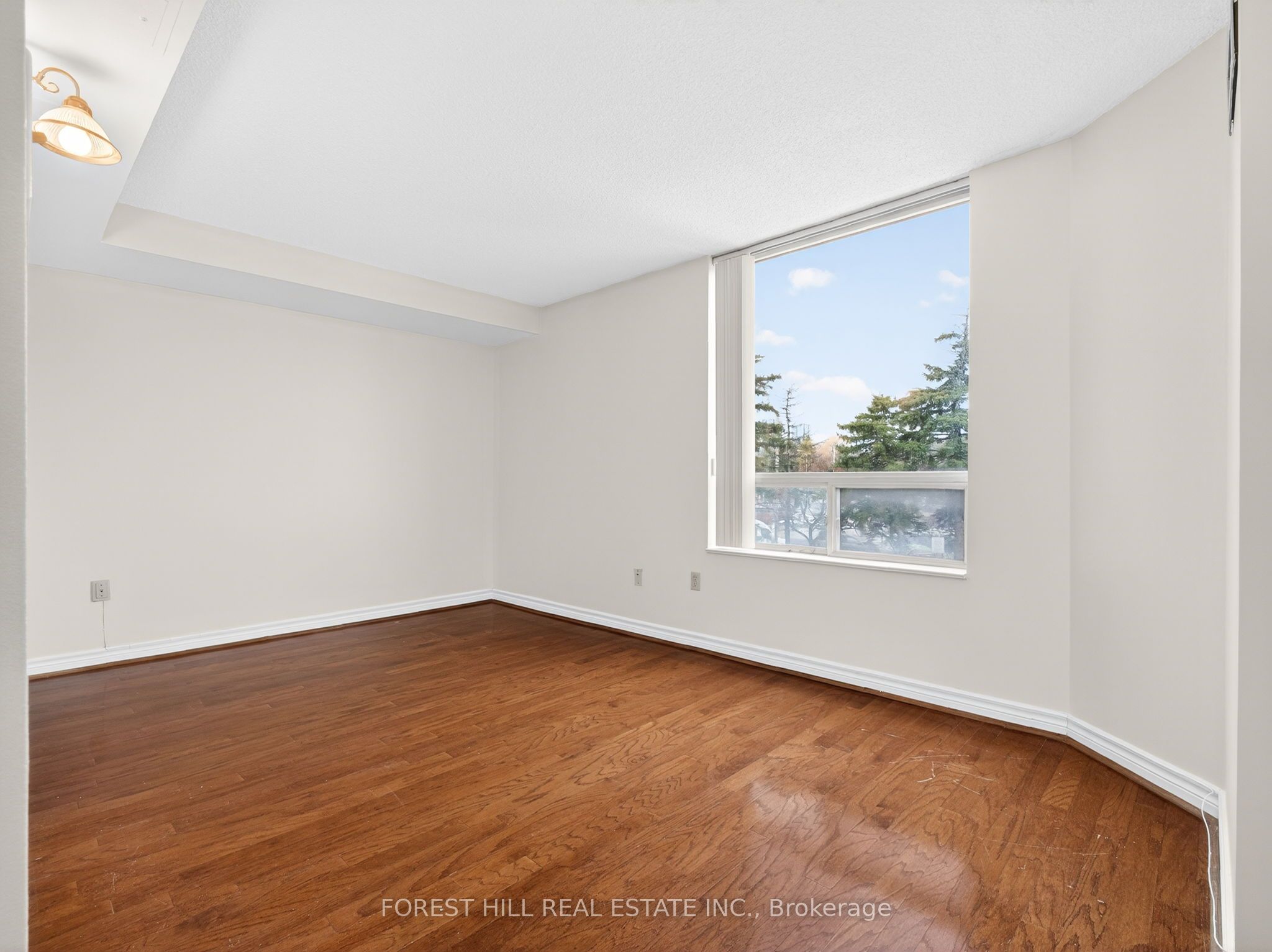 N13528512 Property Photo 23