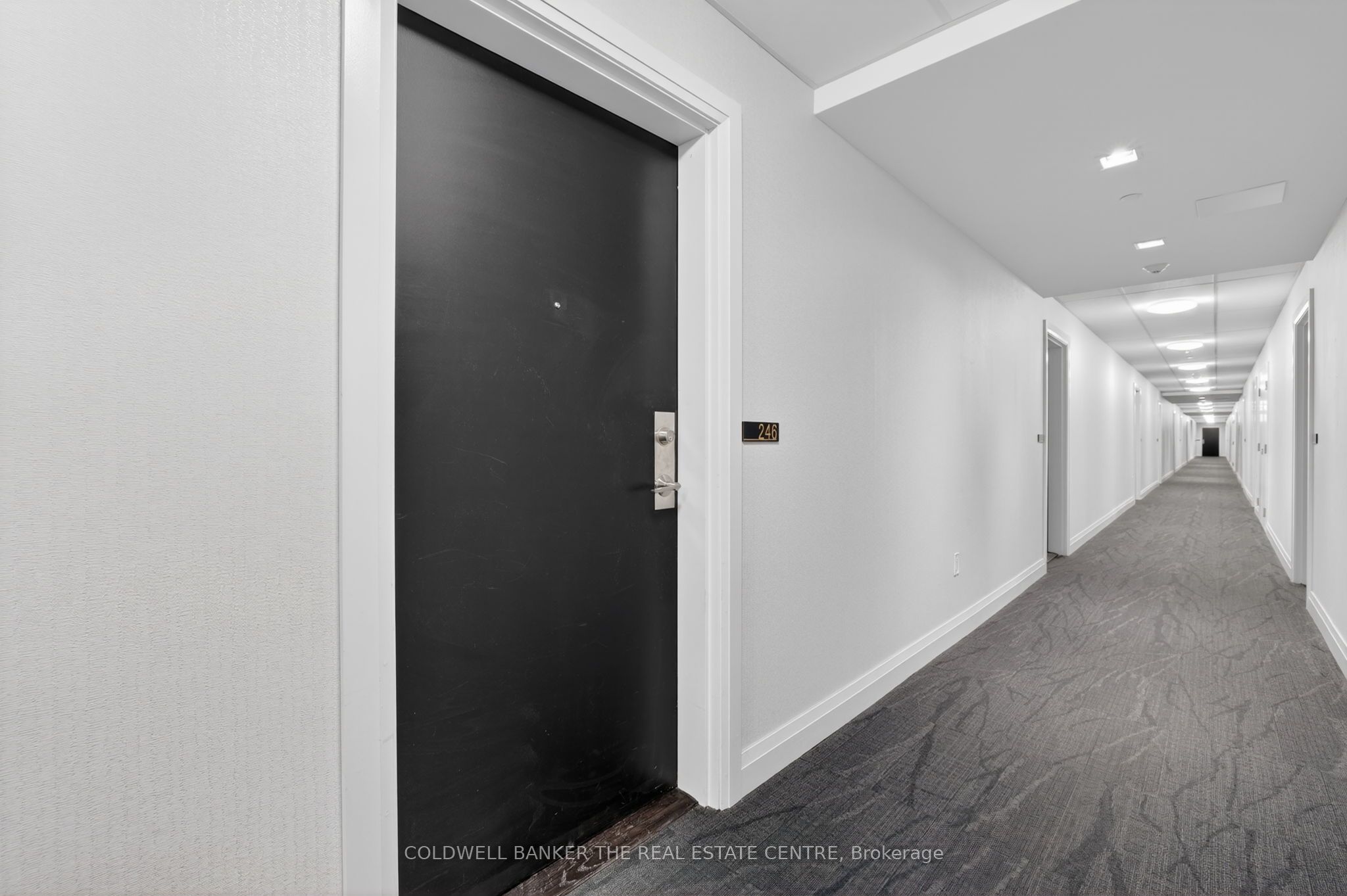 555 William Graham Drive 246 Property Photo 6