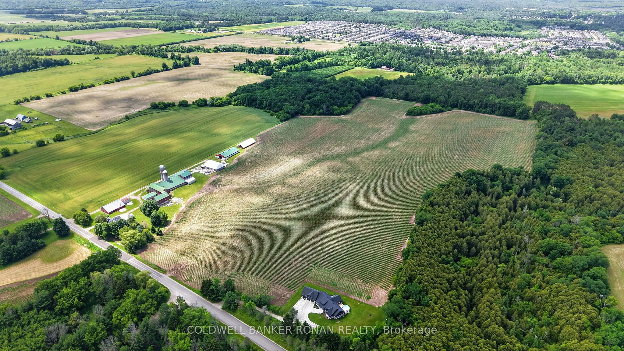 8562/8587 6th Line Property Photo 13