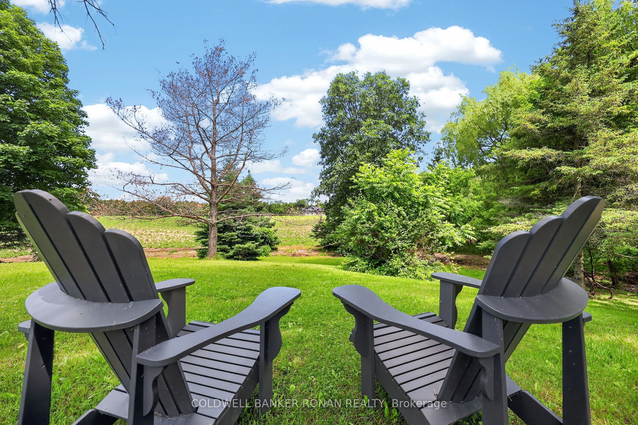 8562/8587 6th Line Property Photo 41
