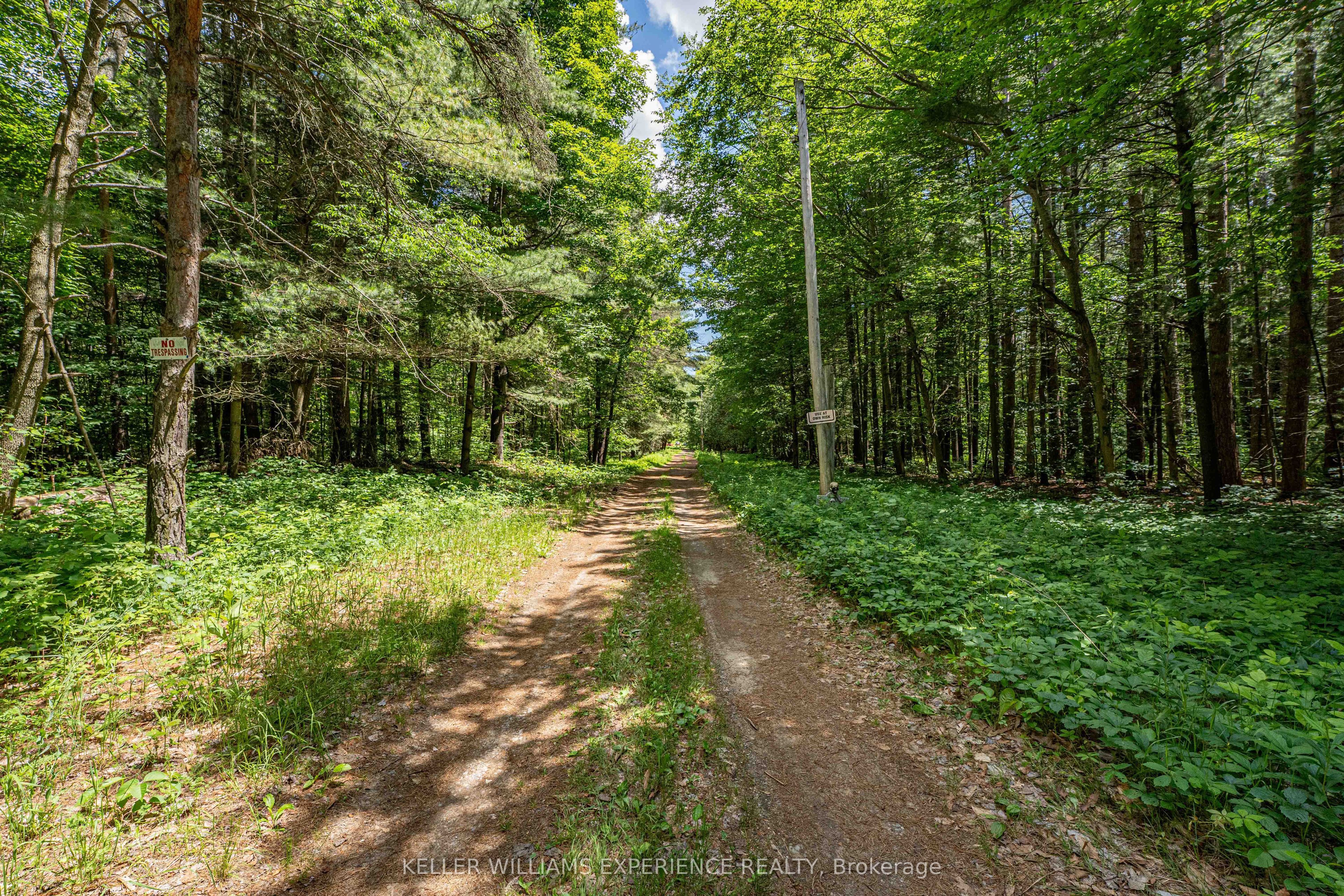 8137 4th Line Property Photo 6