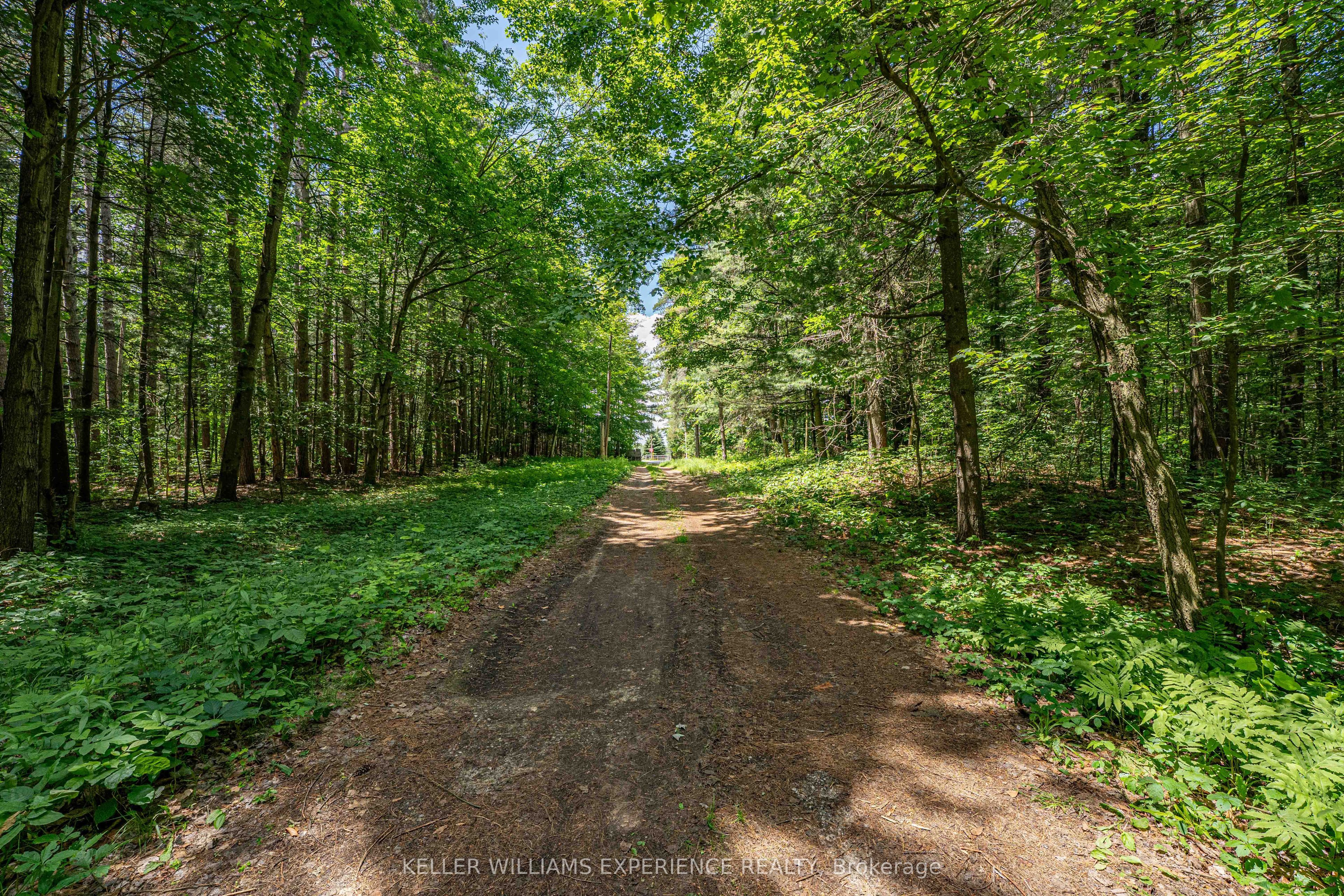 8137 4th Line Property Photo 7