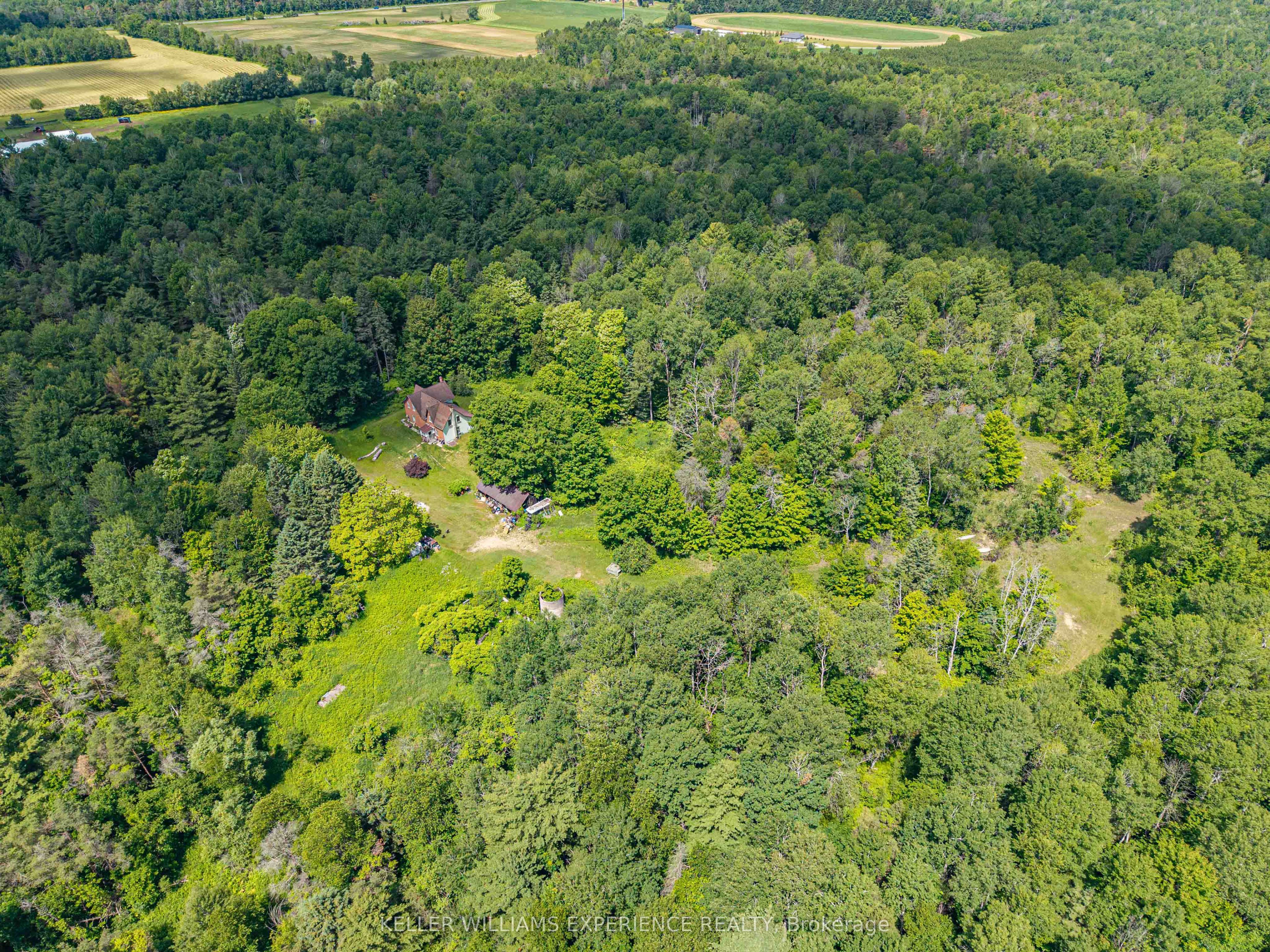 8137 4th Line Property Photo 17