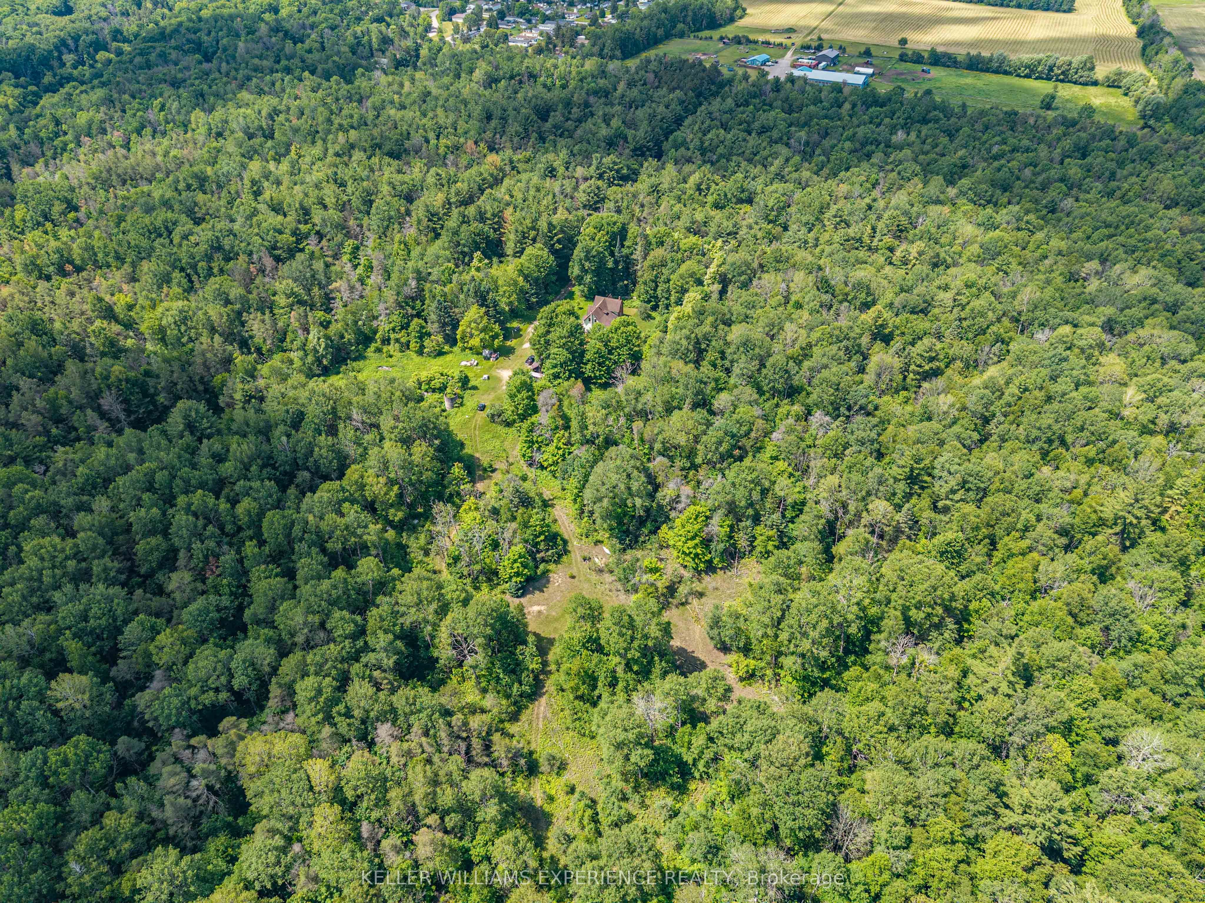 8137 4th Line Property Photo 18
