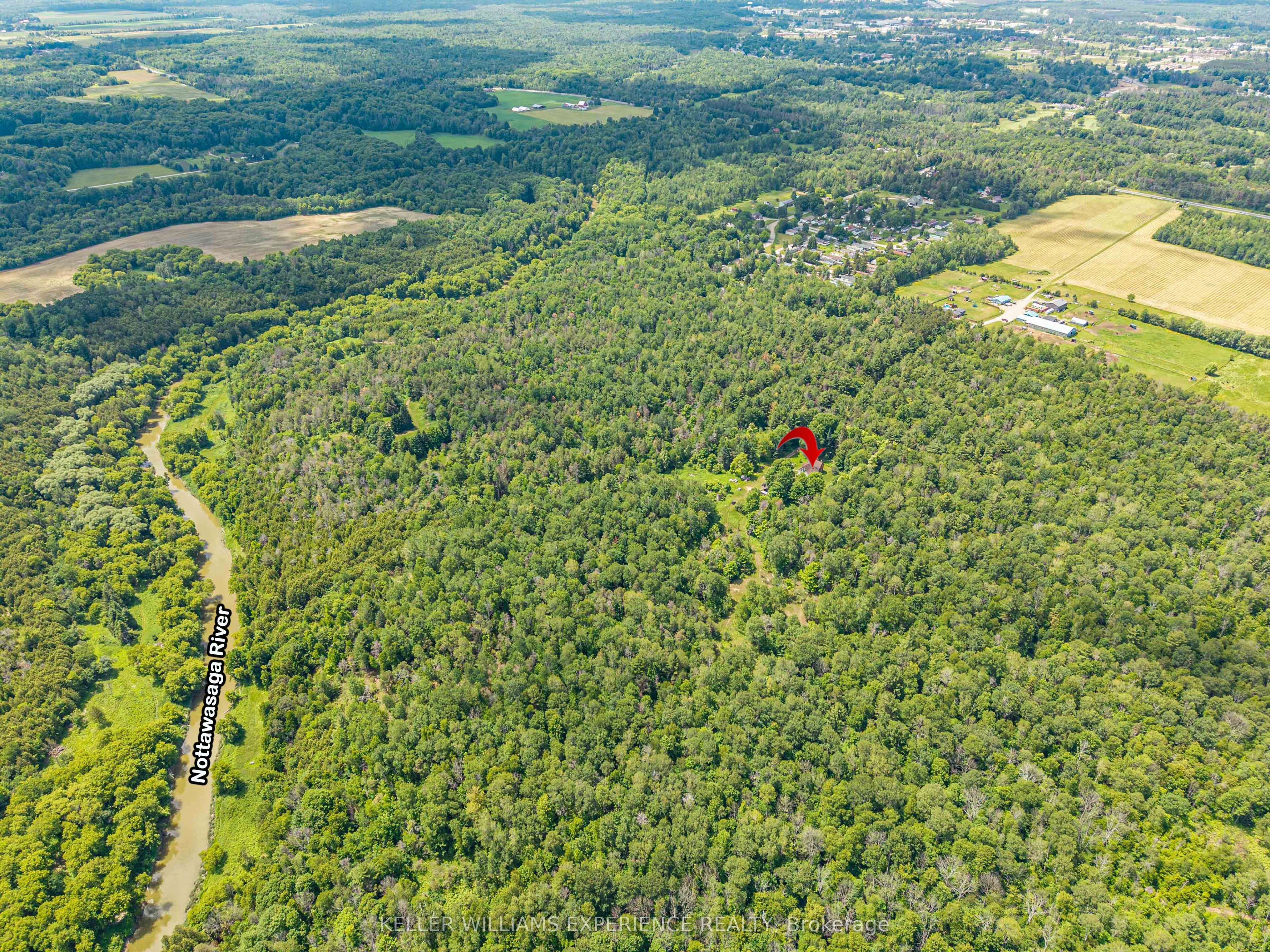 8137 4th Line Property Photo 20