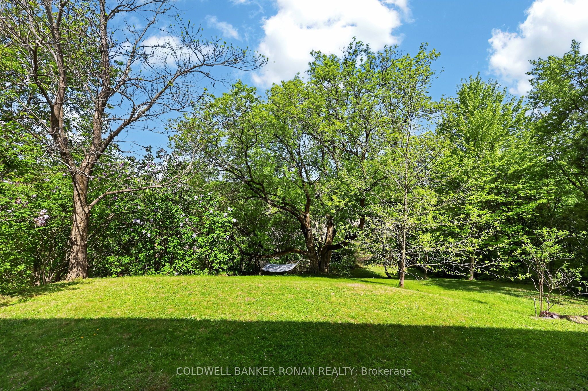 6976 2nd Line Property Photo 43
