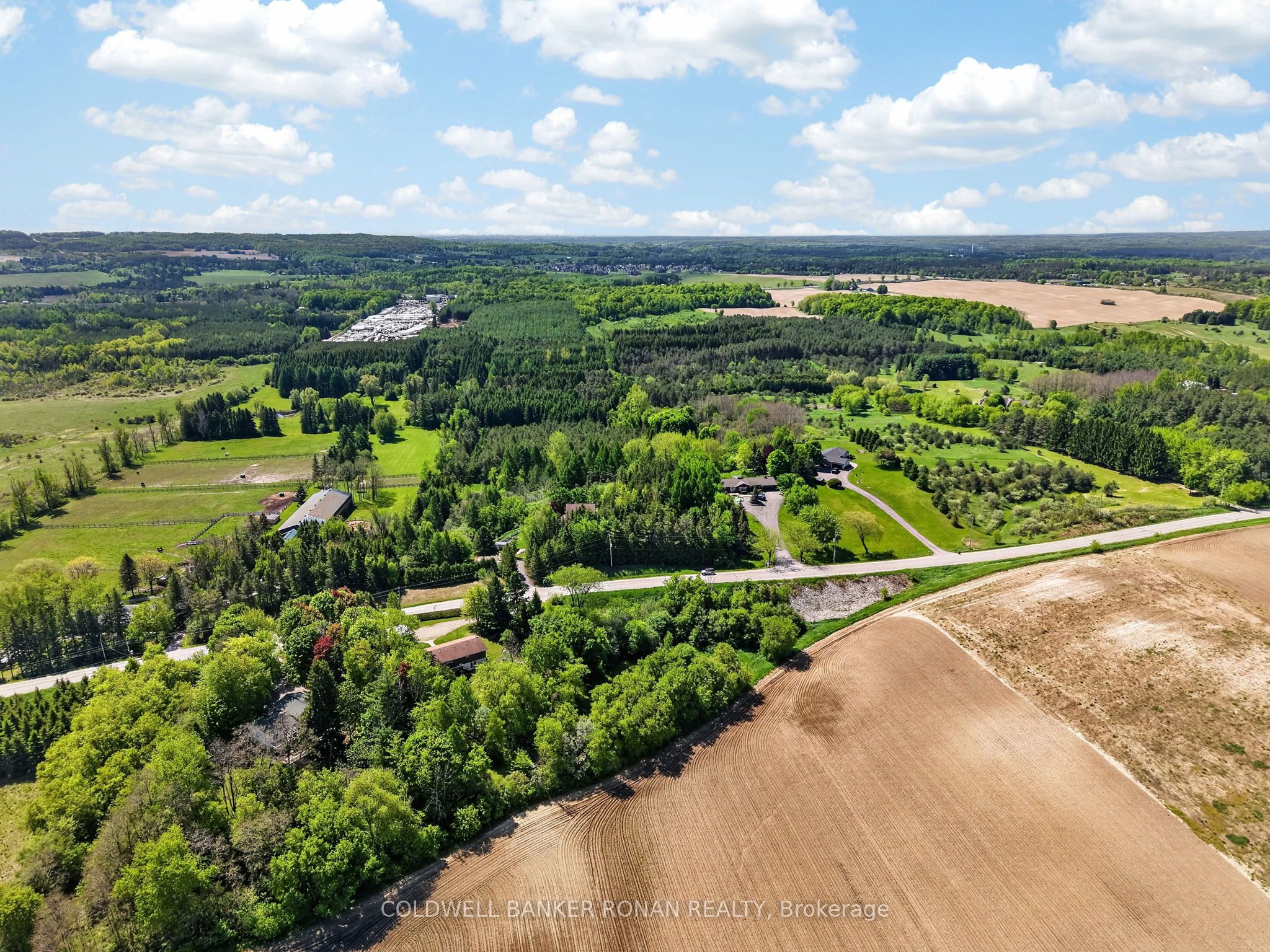6976 2nd Line Property Photo 44