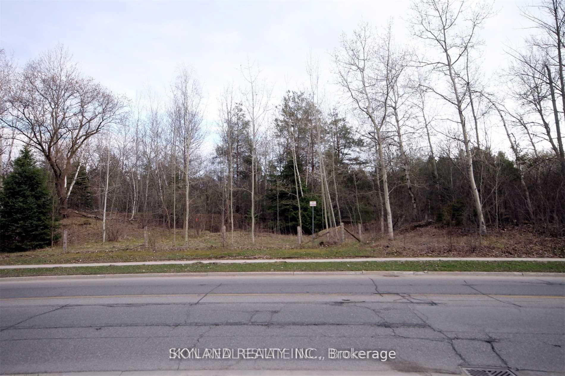 98 Henderson Drive Property Photo 15