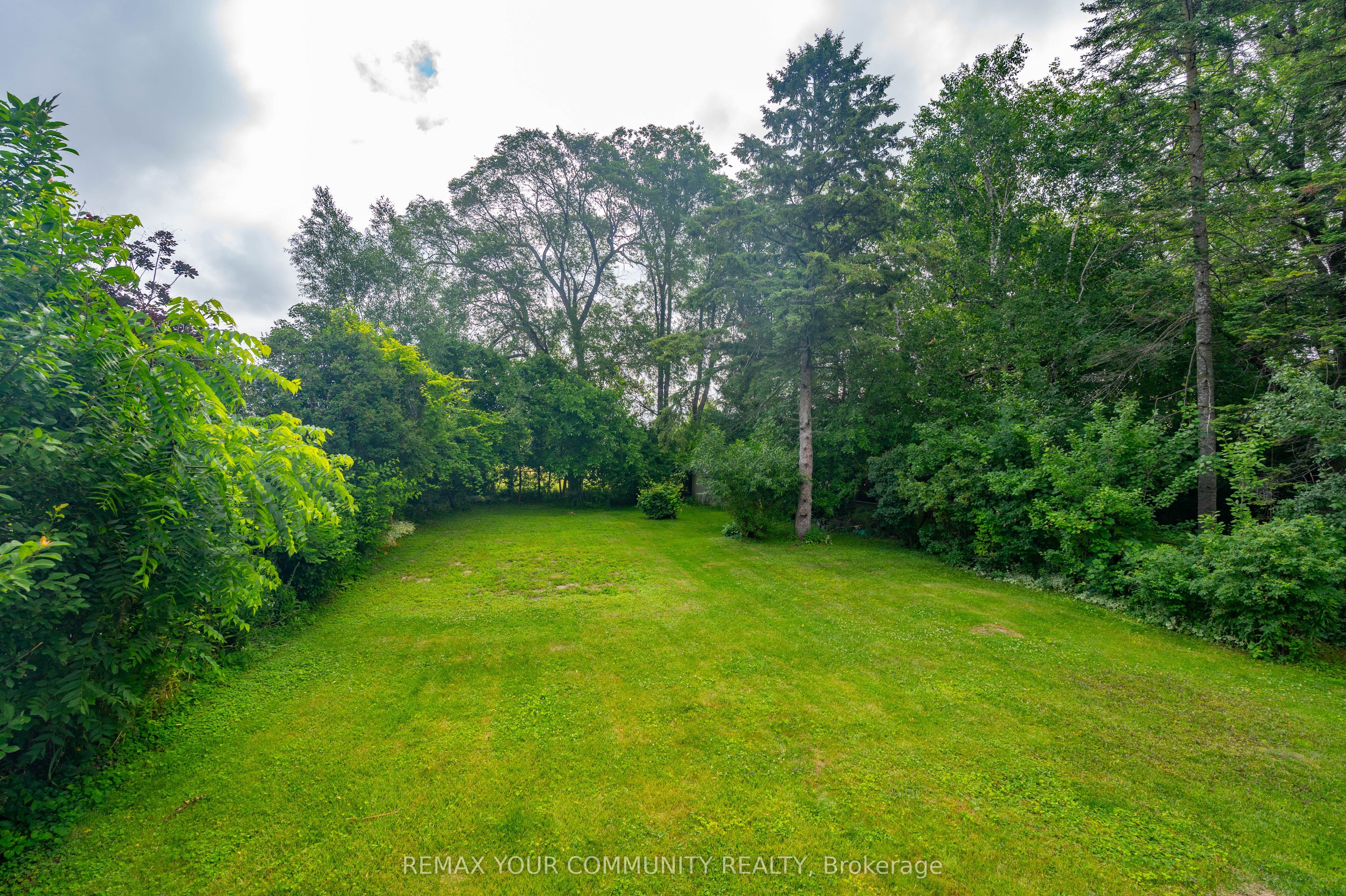 35 Netherford Road Property Photo 20