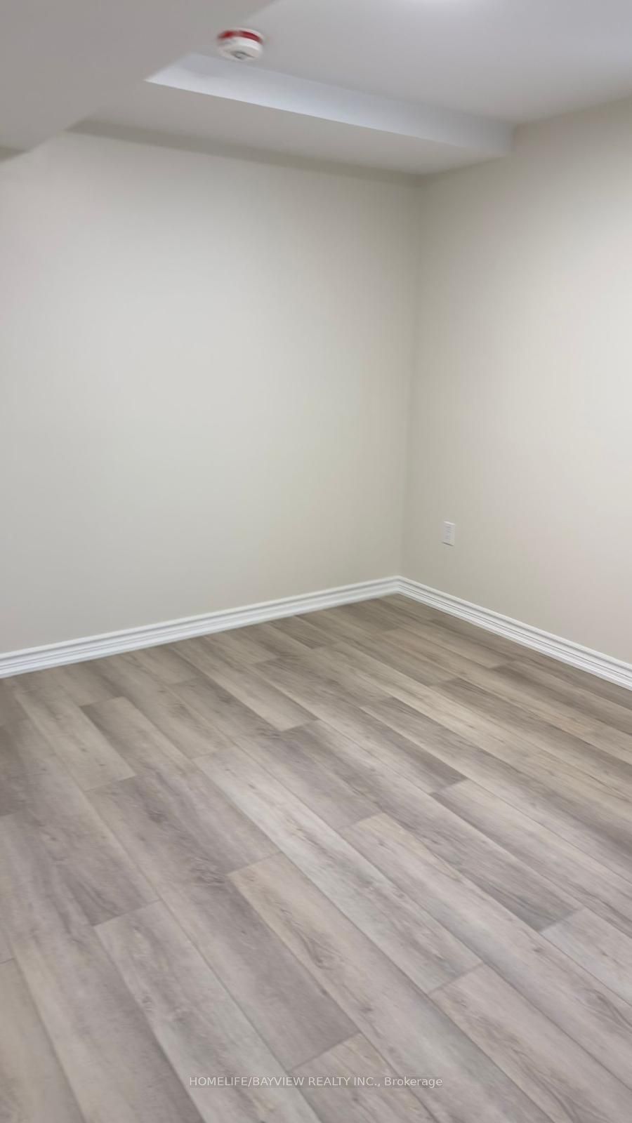 128 Adam Place Lower Unit/basement Property Photo 19
