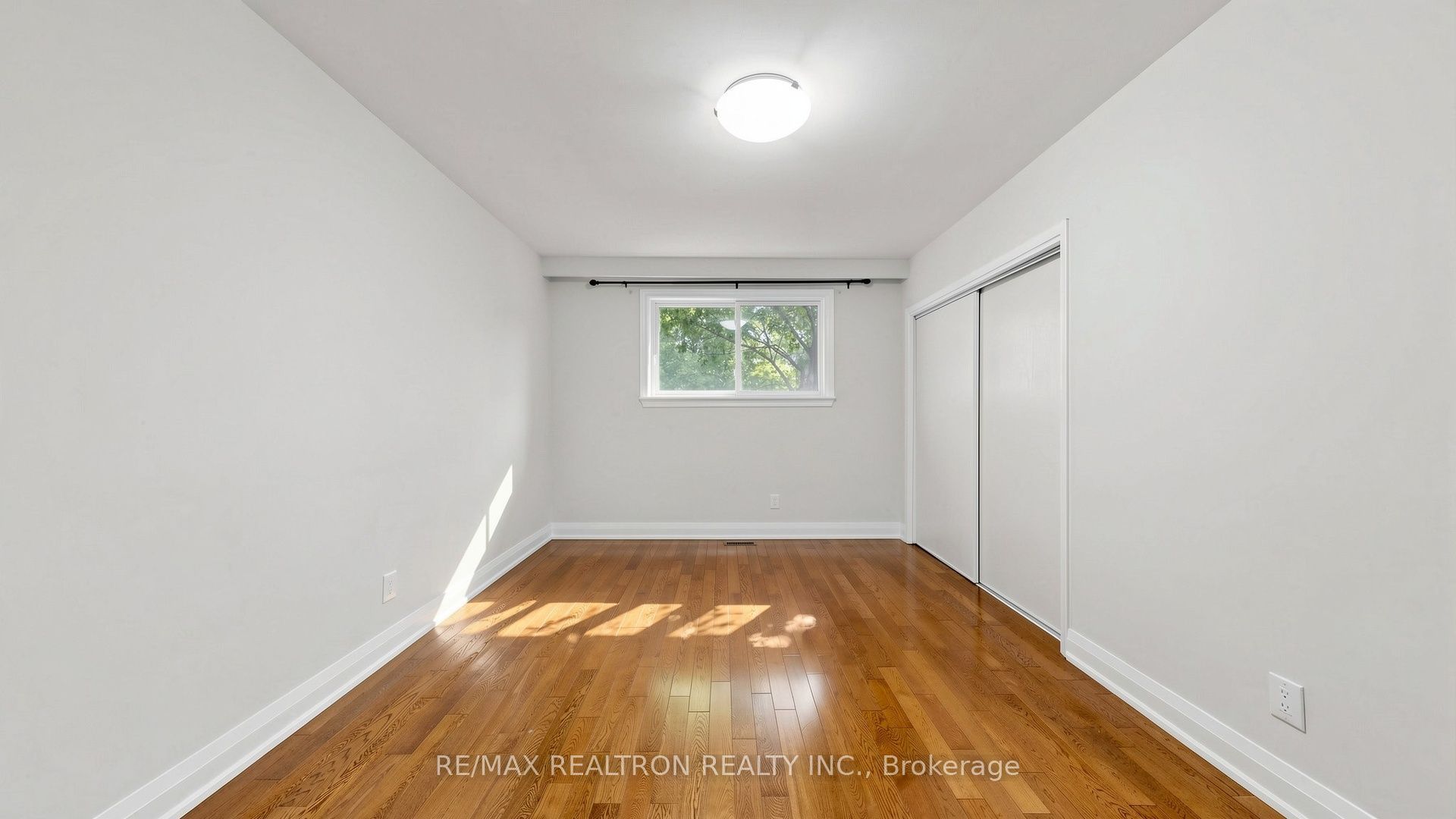 6 Albert Street Property Photo 16