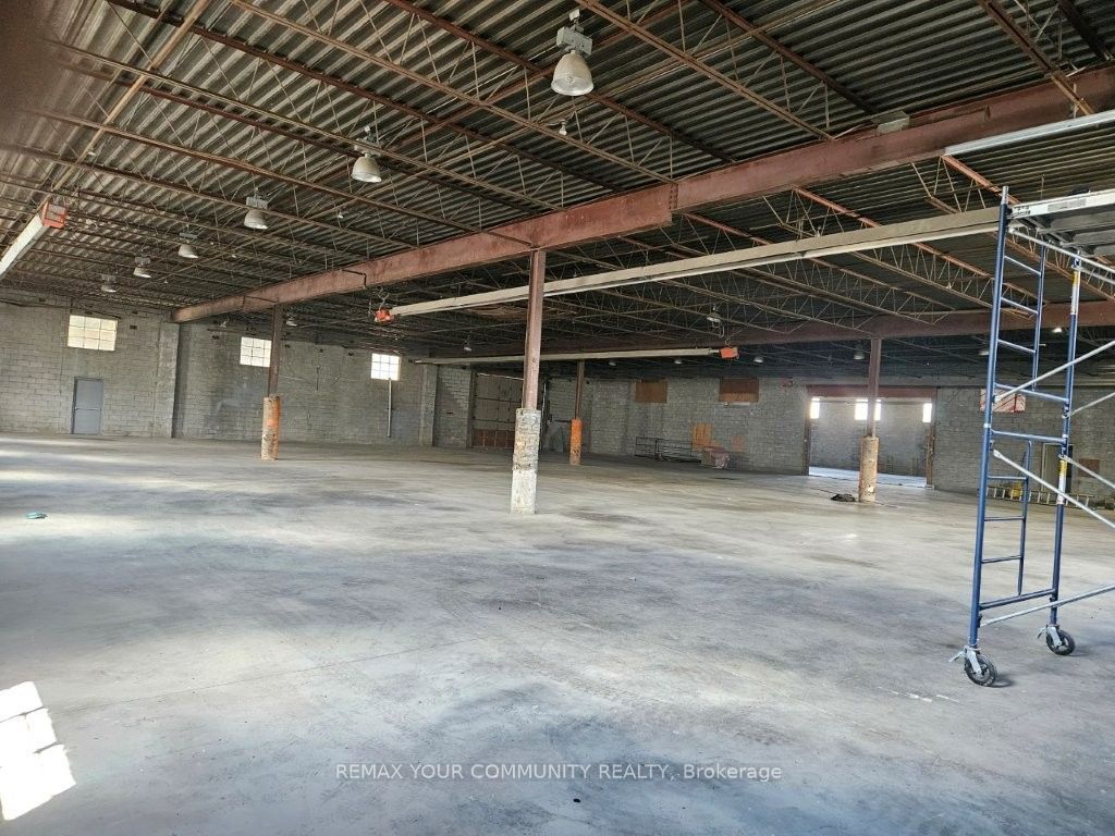 20 Mcdonald Street Property Photo 6