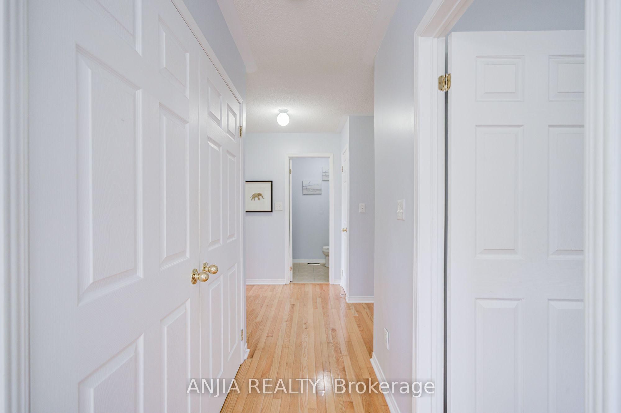 2 Horn Street Property Photo 29