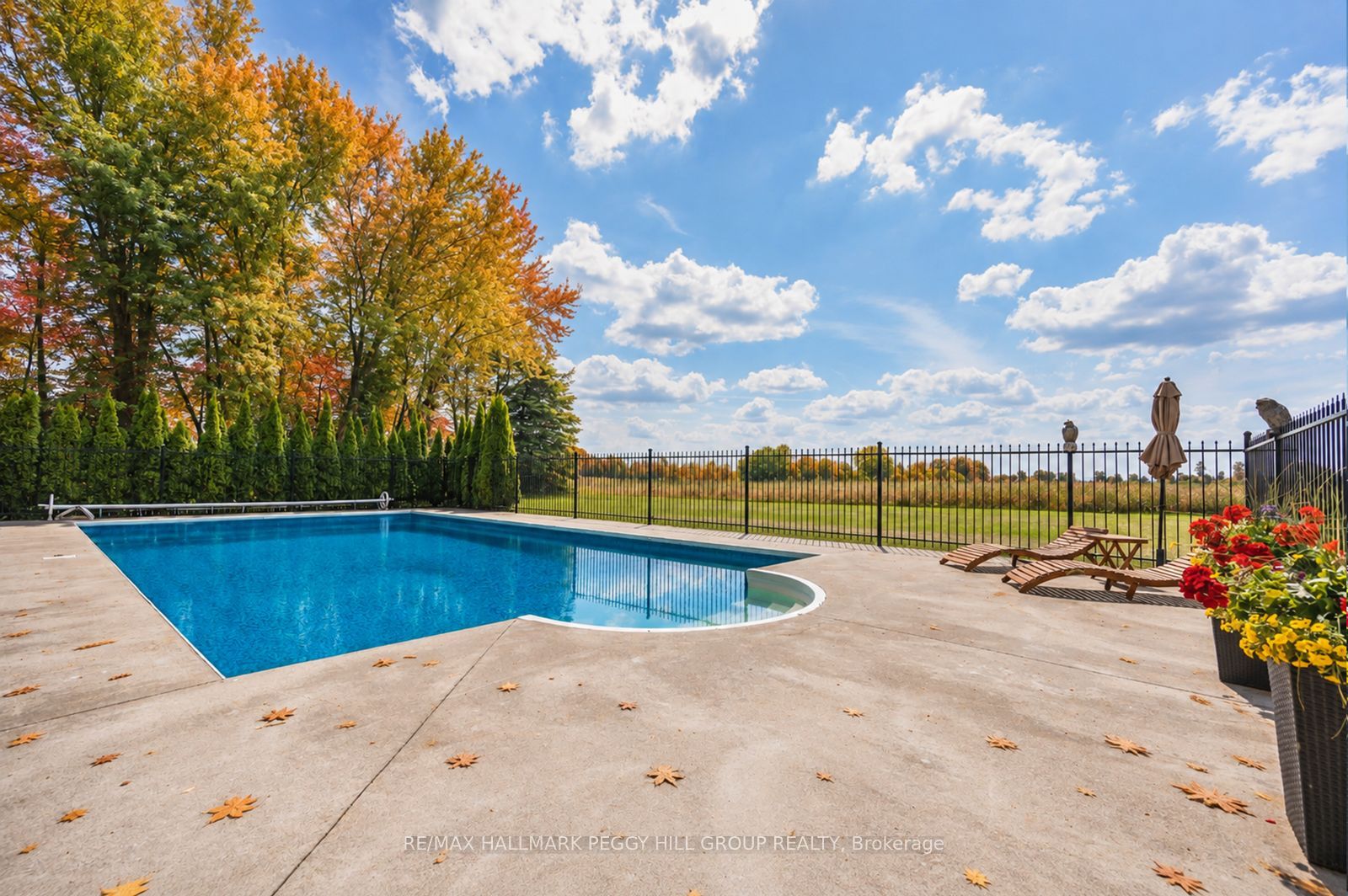 8464 6th Line Property Photo 19