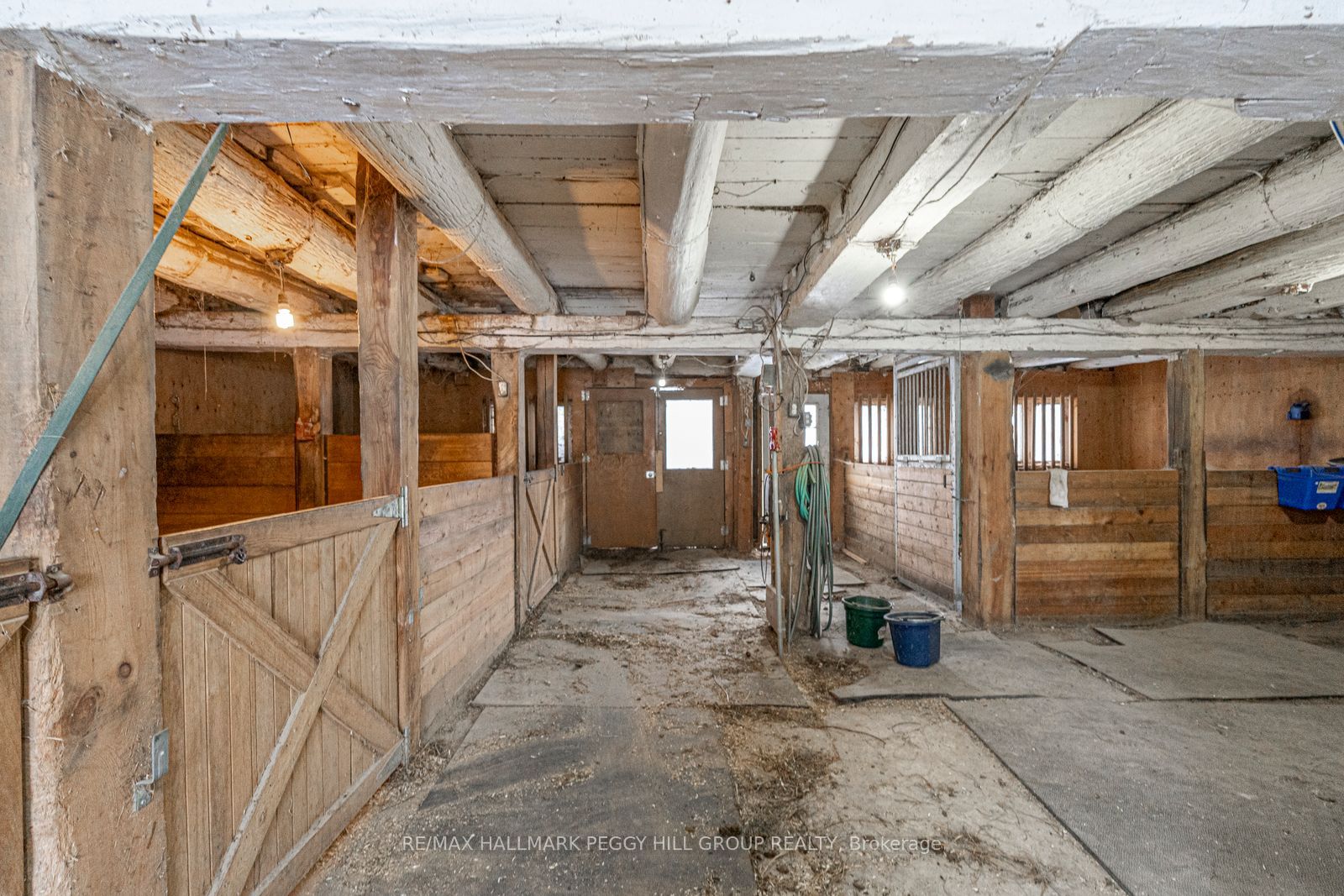 8464 6th Line Property Photo 21