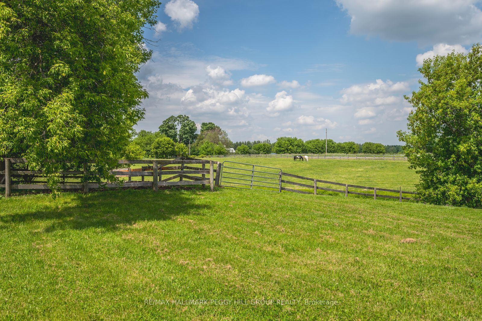 8464 6th Line Property Photo 26