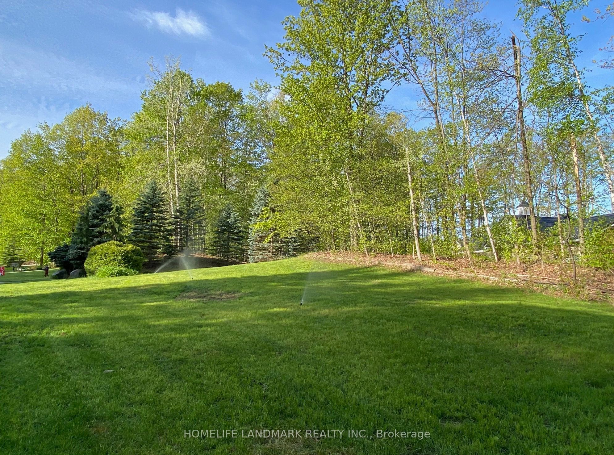 1976 Forest Valley Drive Property Photo 4