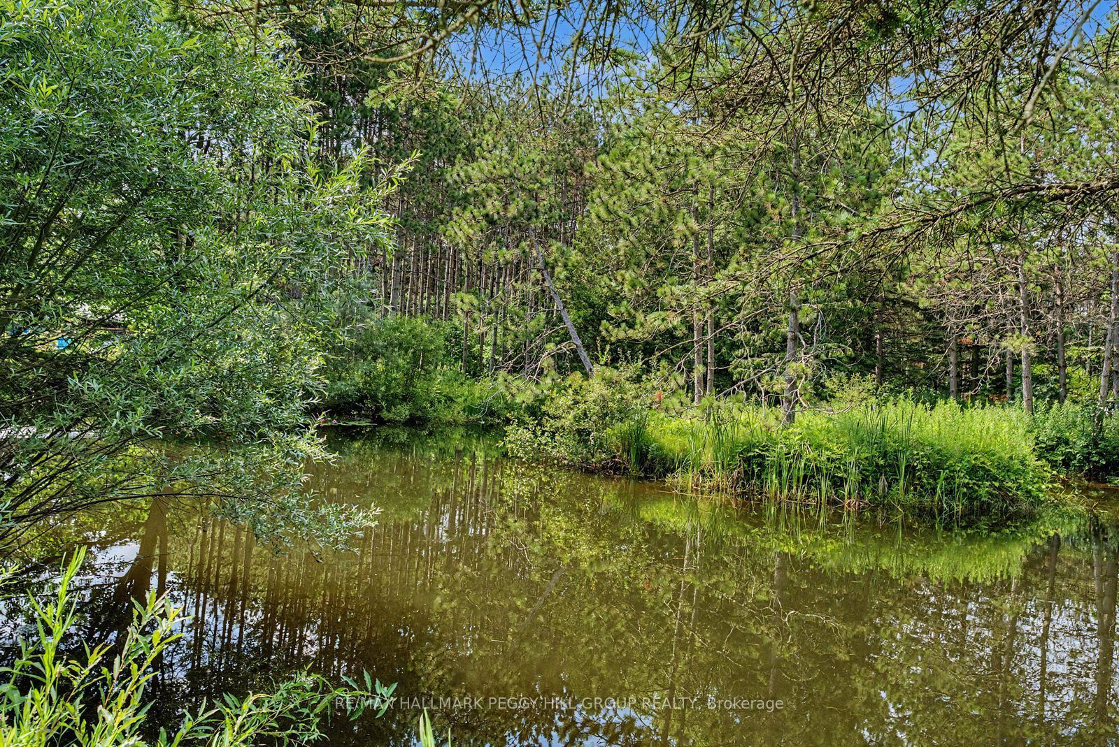 7819 5th Line Property Photo 24