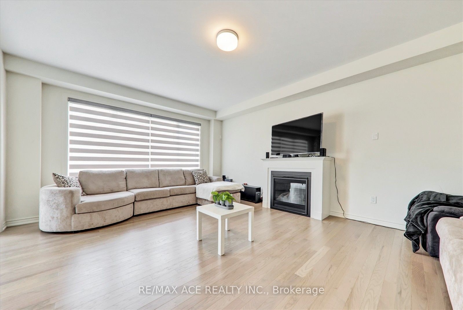 4 Emerald Grove Property Photo 16
