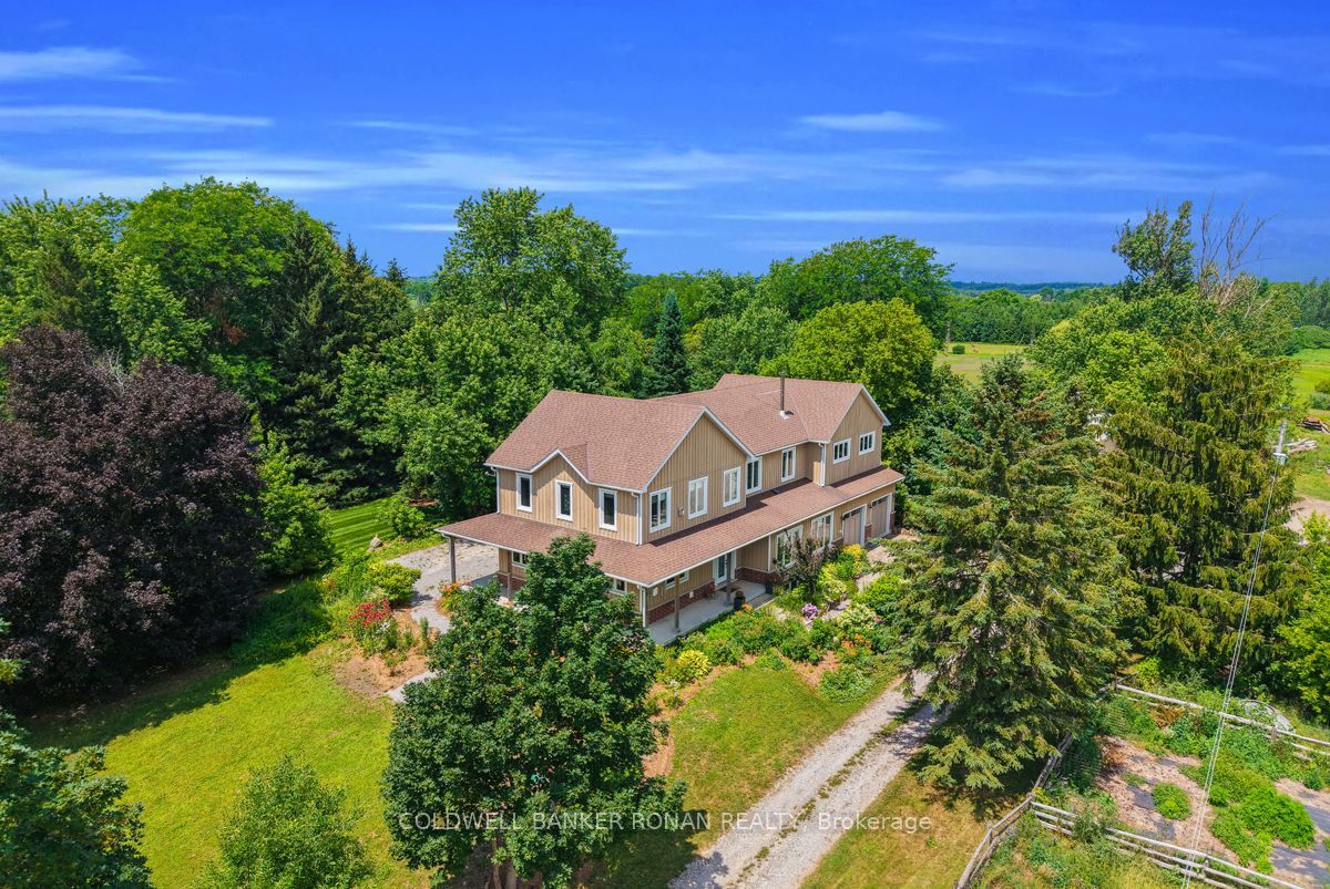 5354 3rd Line Property Photo 4