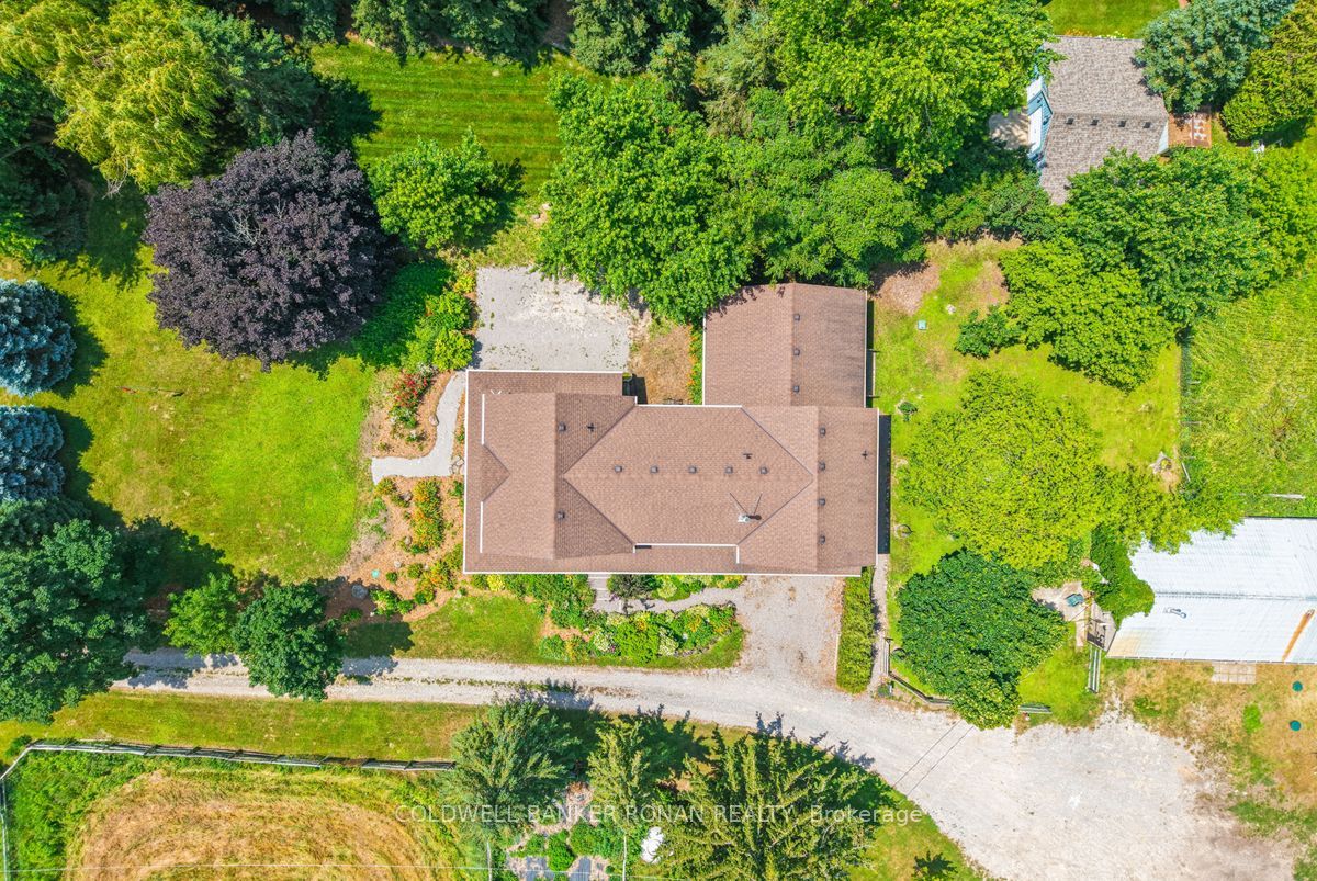 5354 3rd Line Property Photo 45